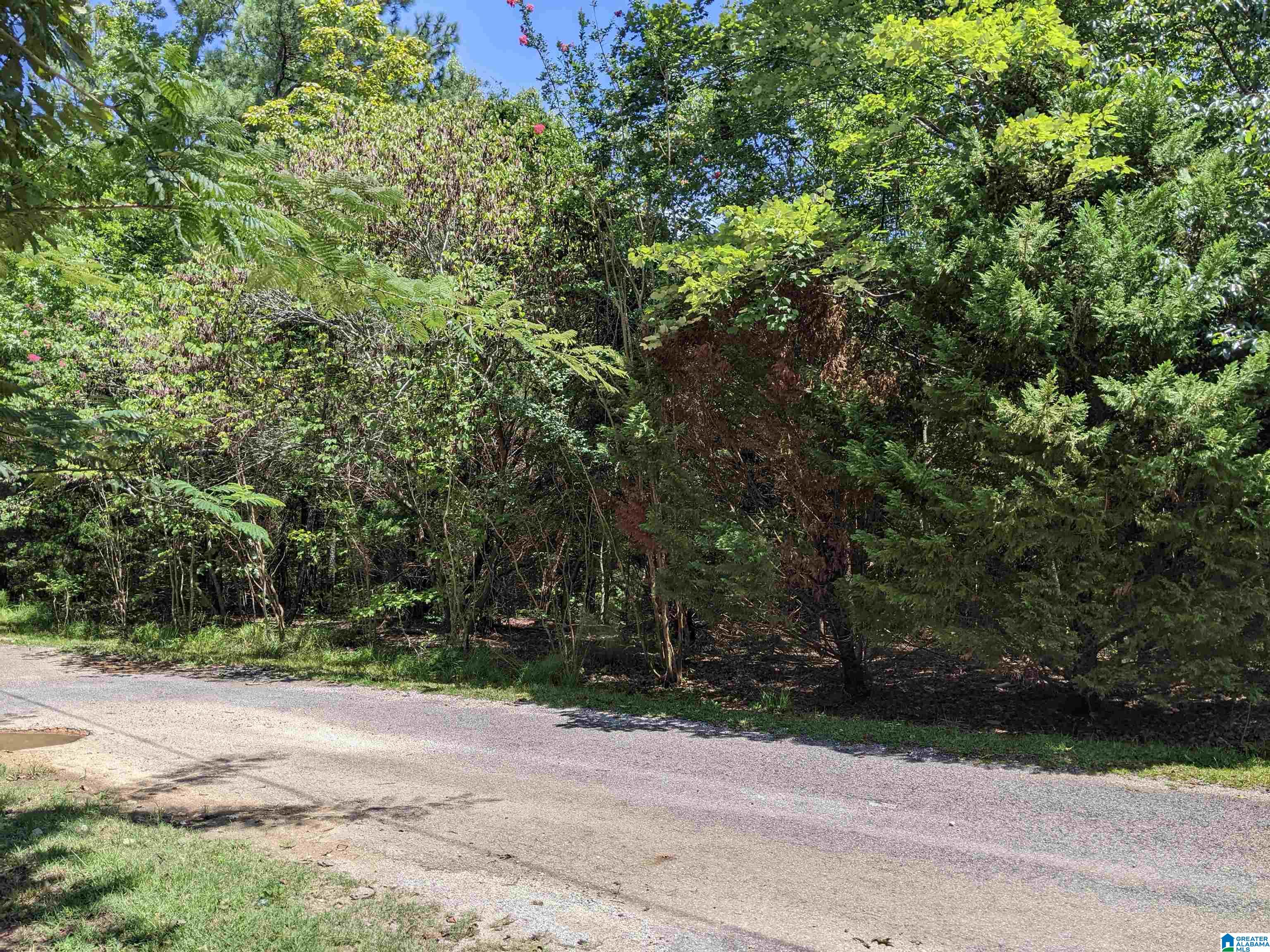 0 CEDAR CREEK ROAD 12804