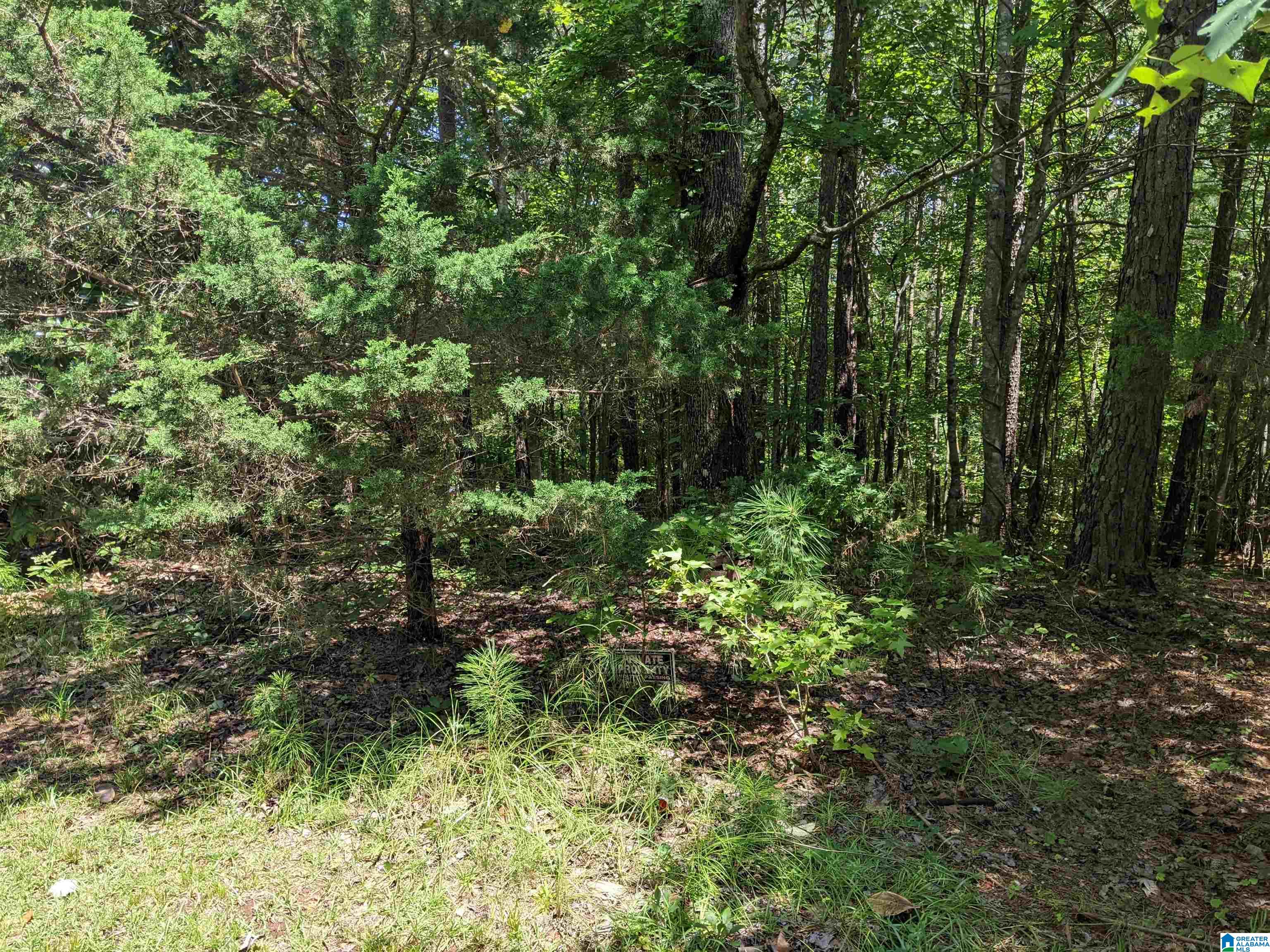 0 CEDAR CREEK ROAD 12804