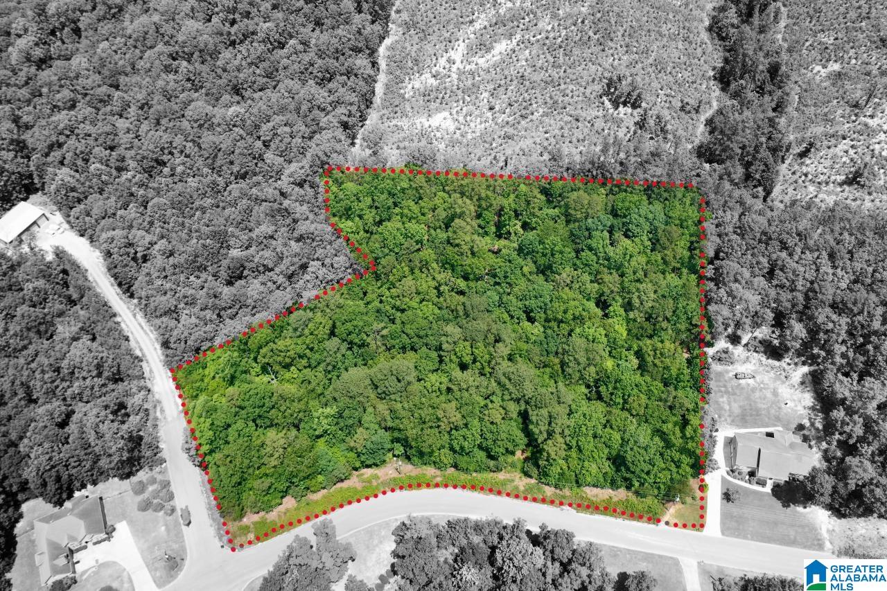 0 SOUTHERN OAKS DRIVE 0