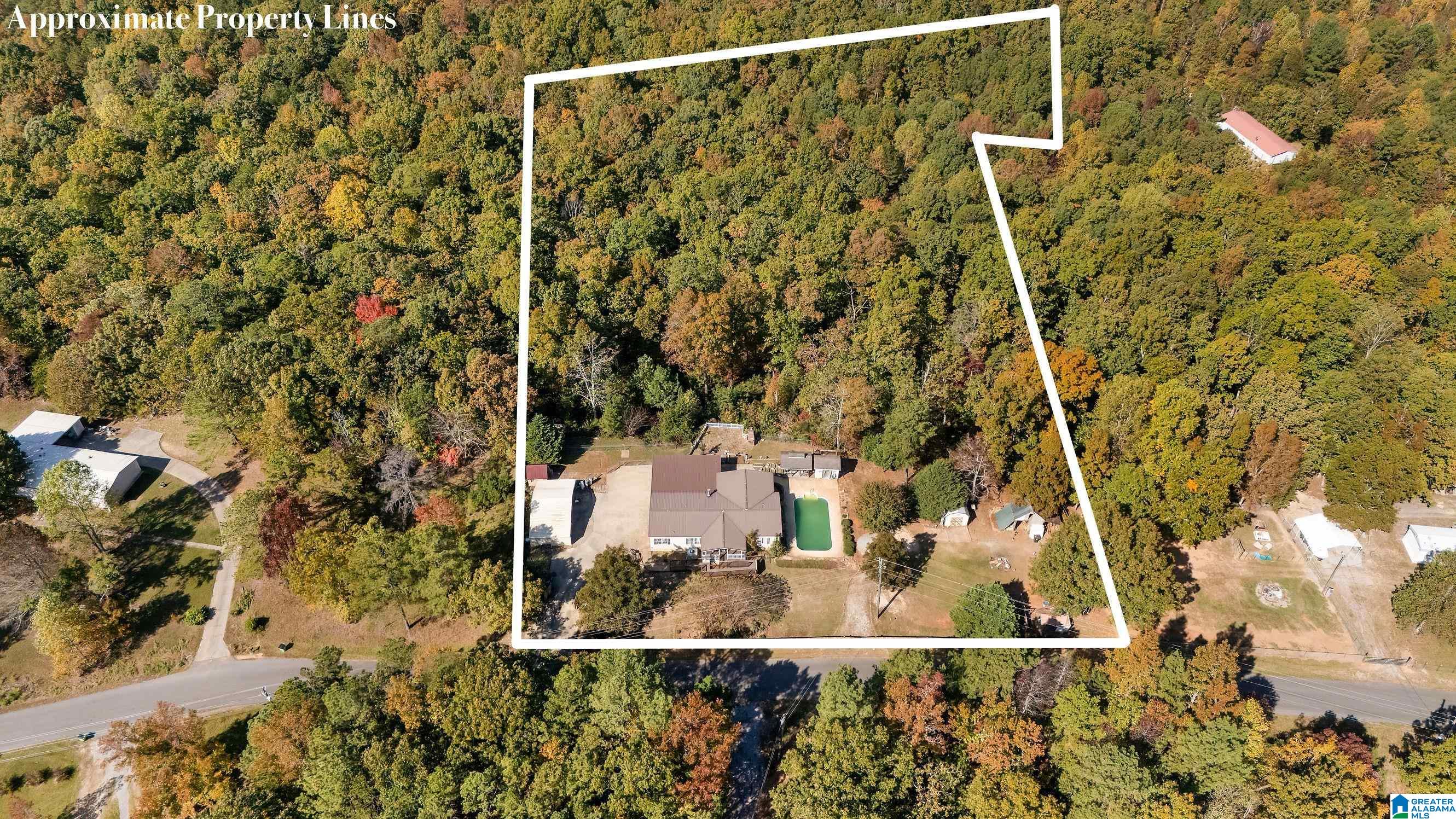 1160 FREEZE MOUNTAIN DRIVE