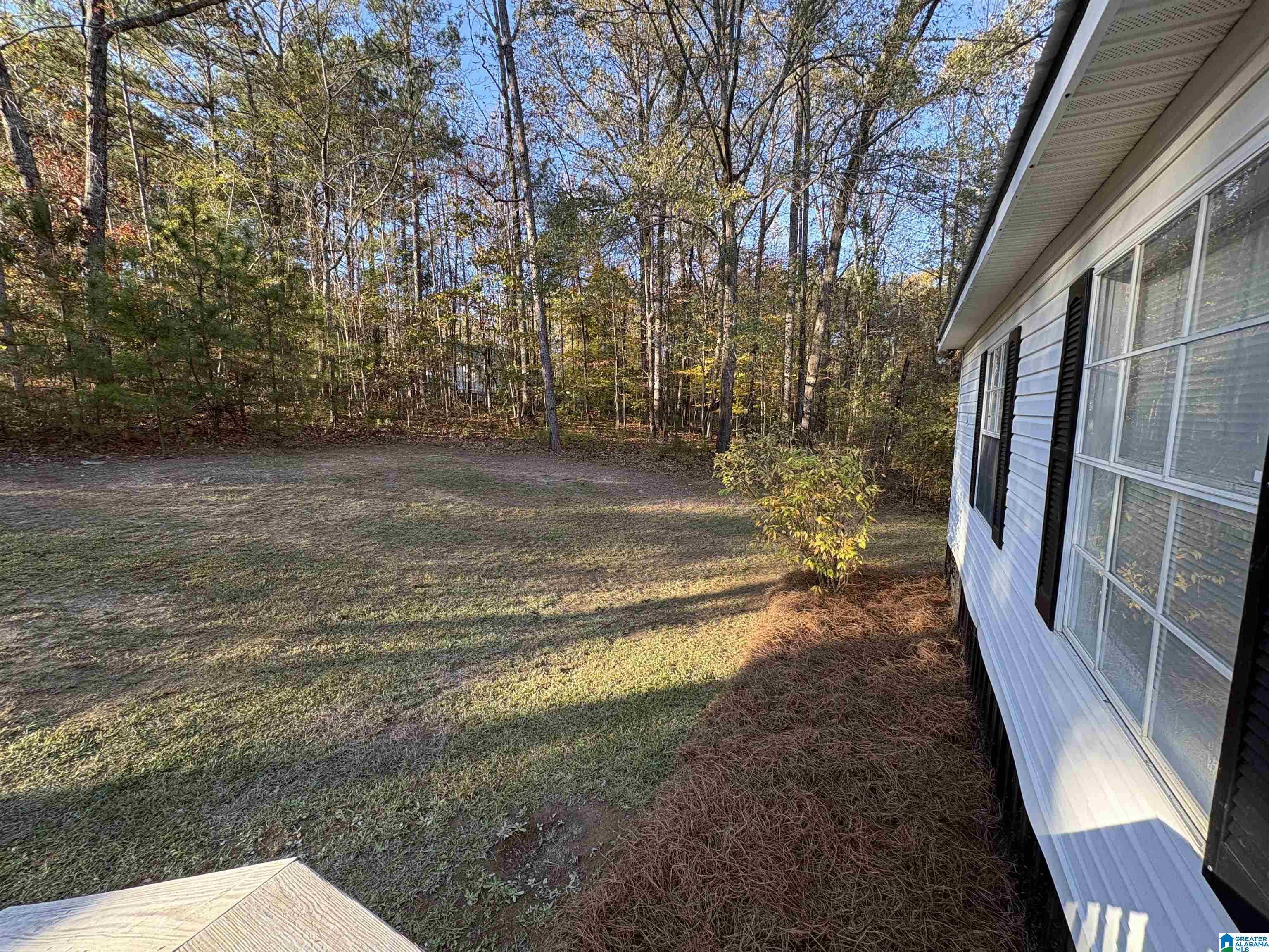 120 TREETOP LANE