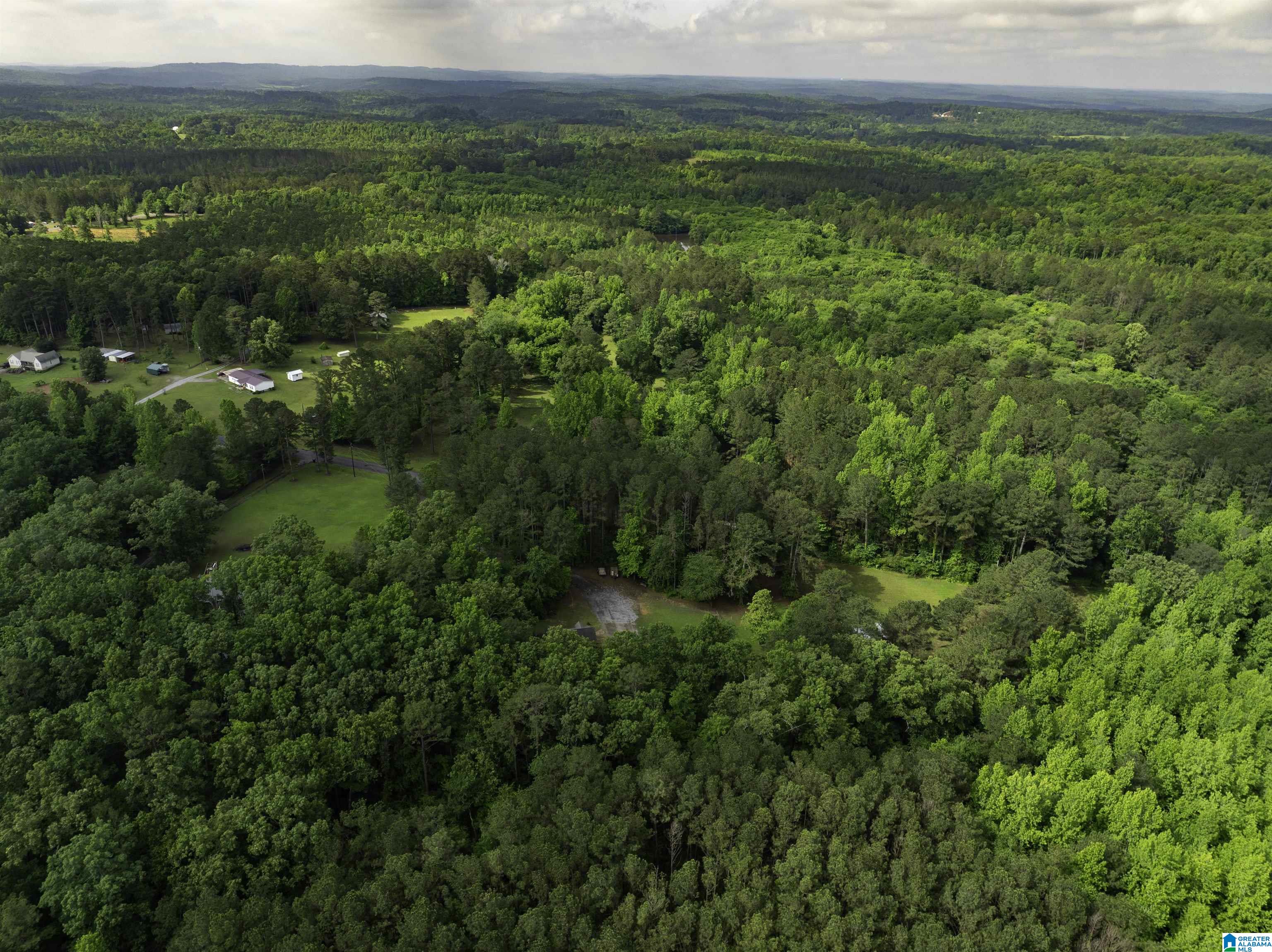 9077 HORSE TRAIL LANE