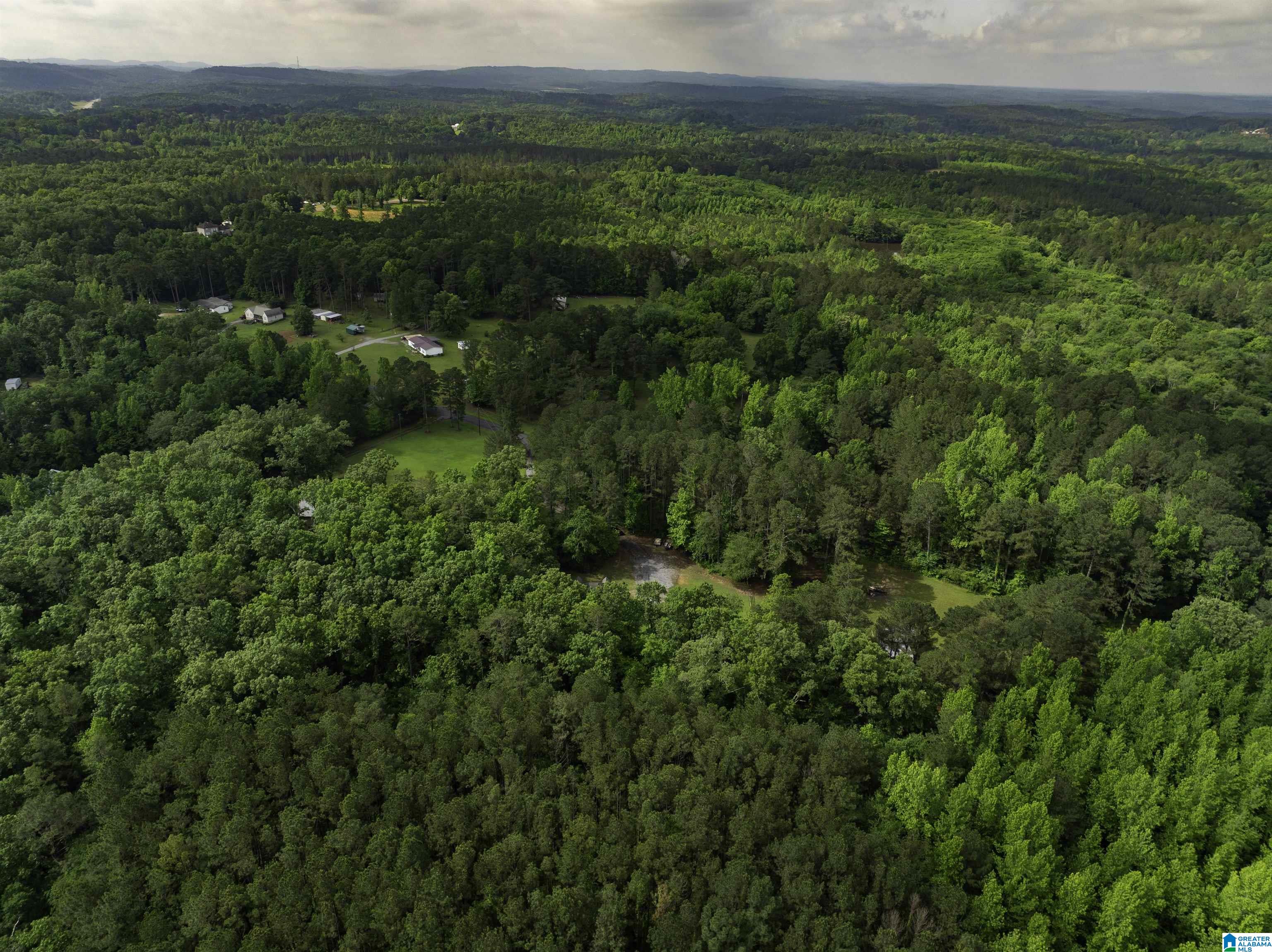 9077 HORSE TRAIL LANE