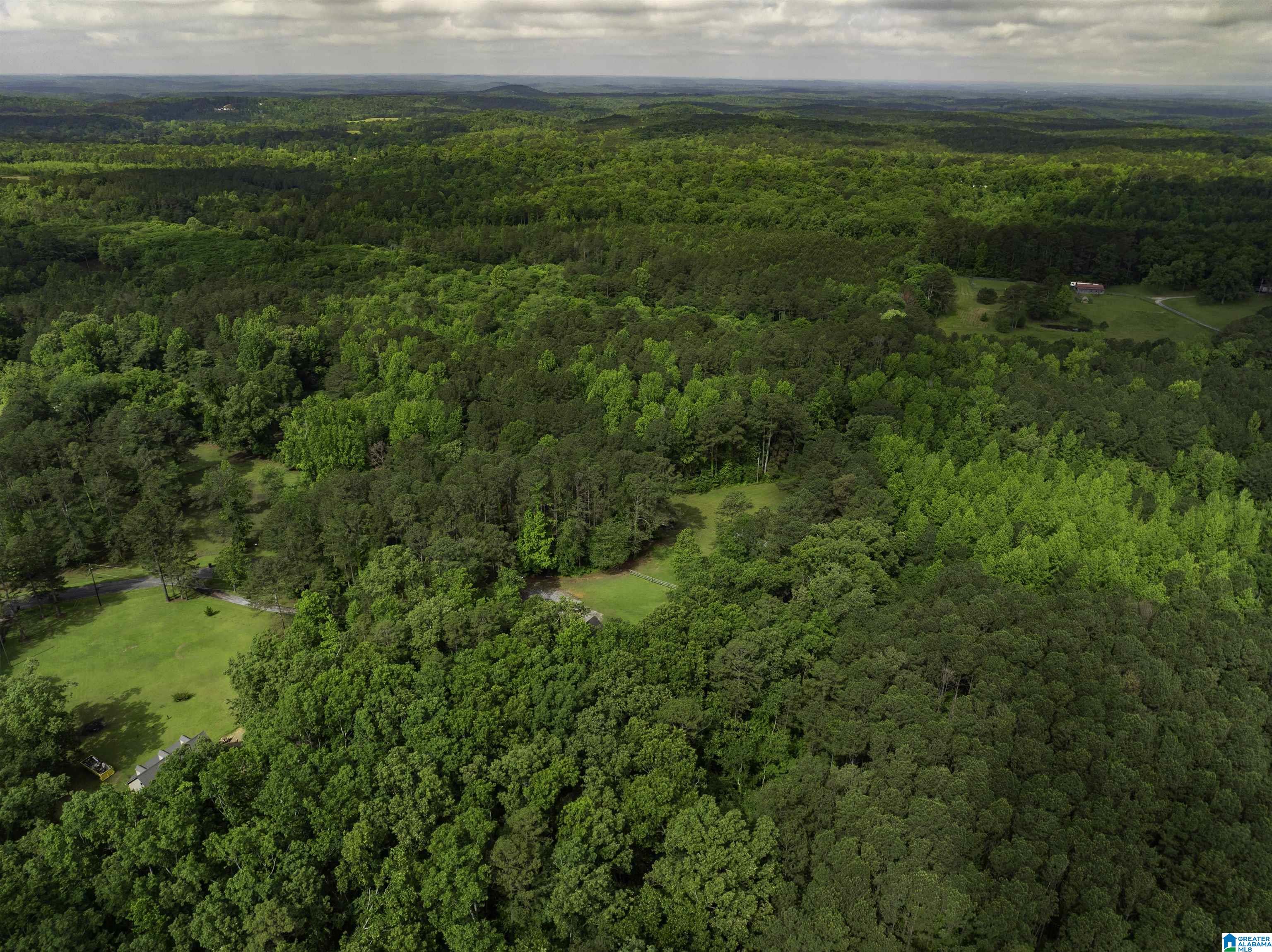 9077 HORSE TRAIL LANE