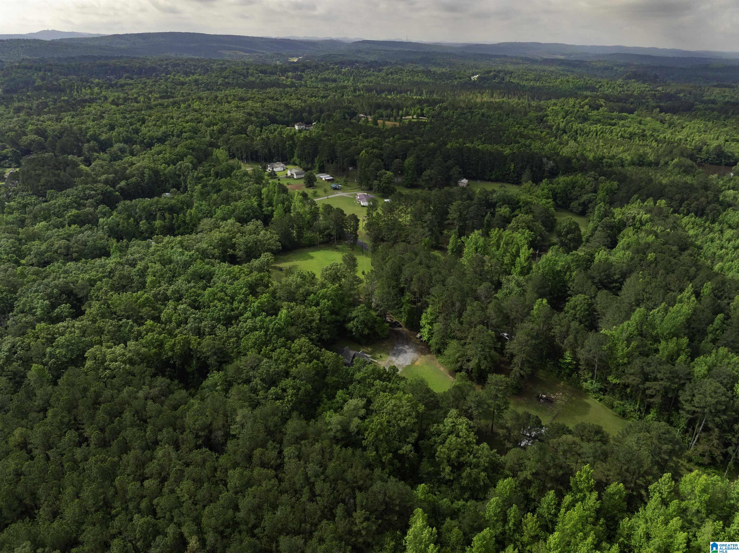 9077 HORSE TRAIL LANE