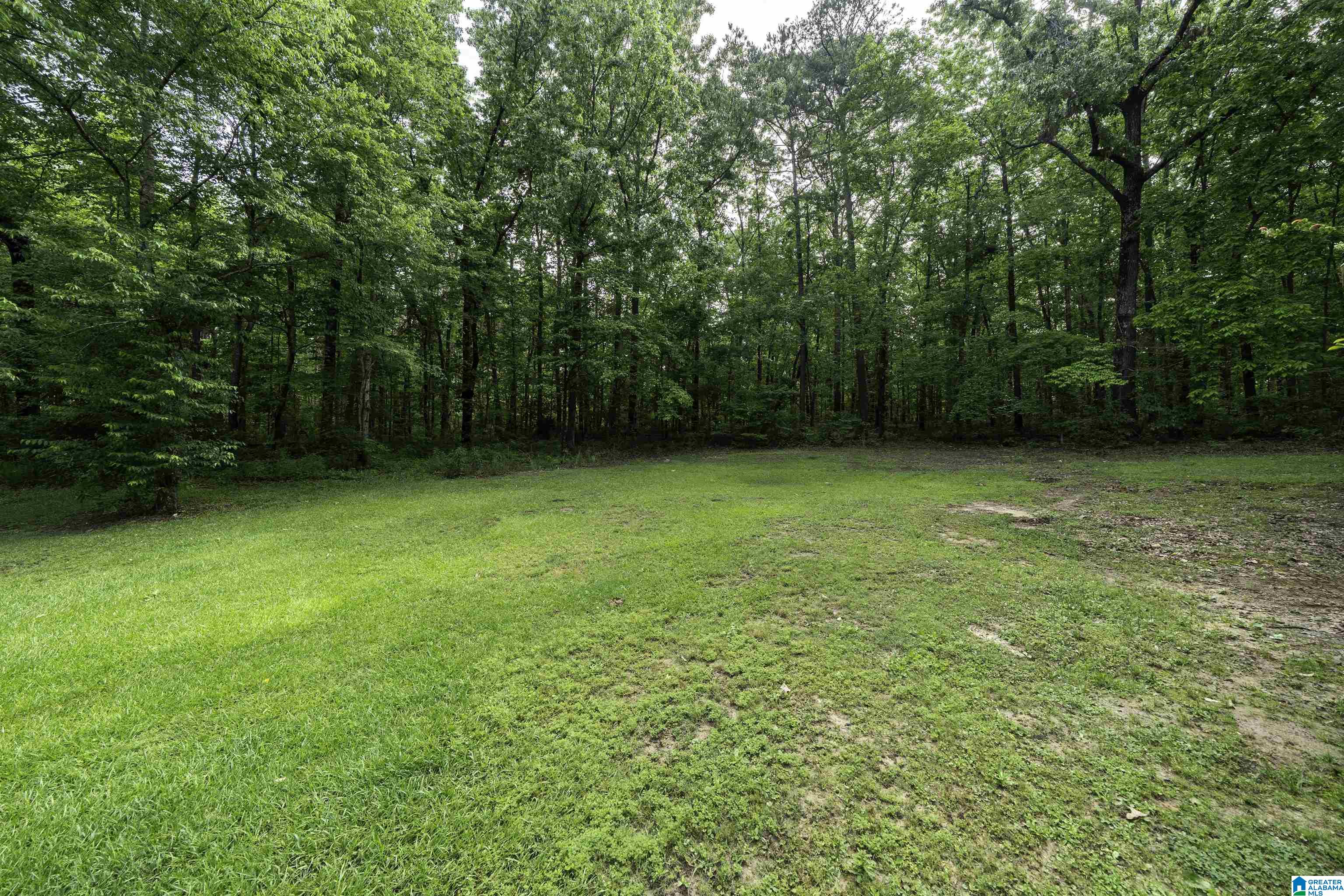 9077 HORSE TRAIL LANE