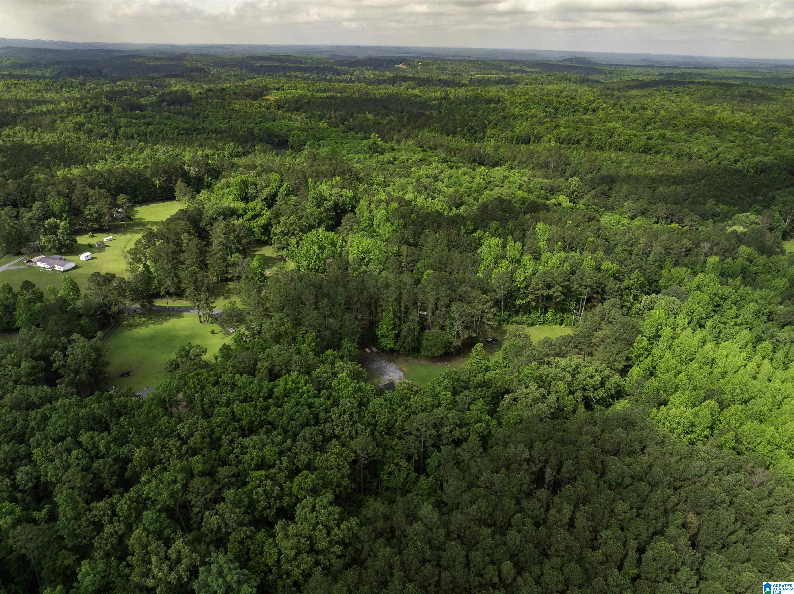 9077 HORSE TRAIL LANE