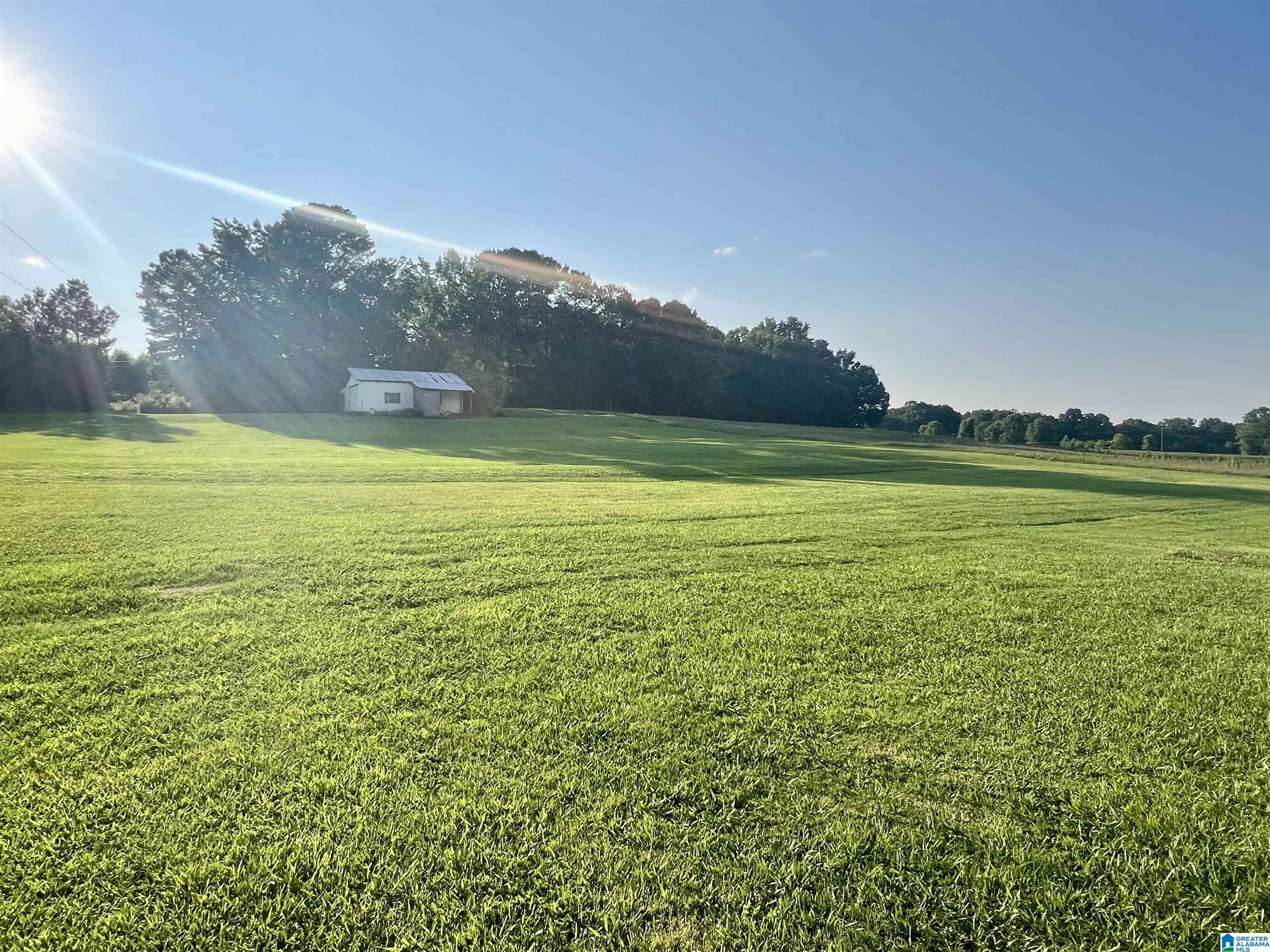 36915 STATE HIGHWAY 75