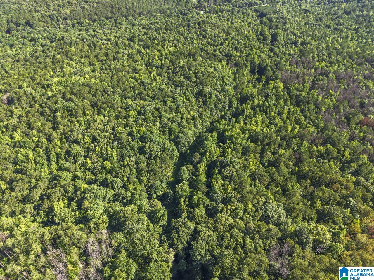 00 BERNEY STATION ROAD 0