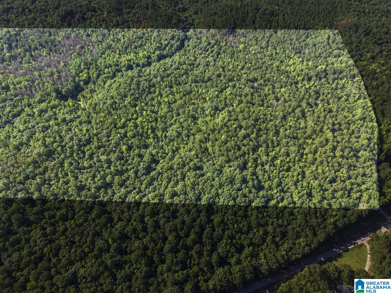 00 BERNEY STATION ROAD 0