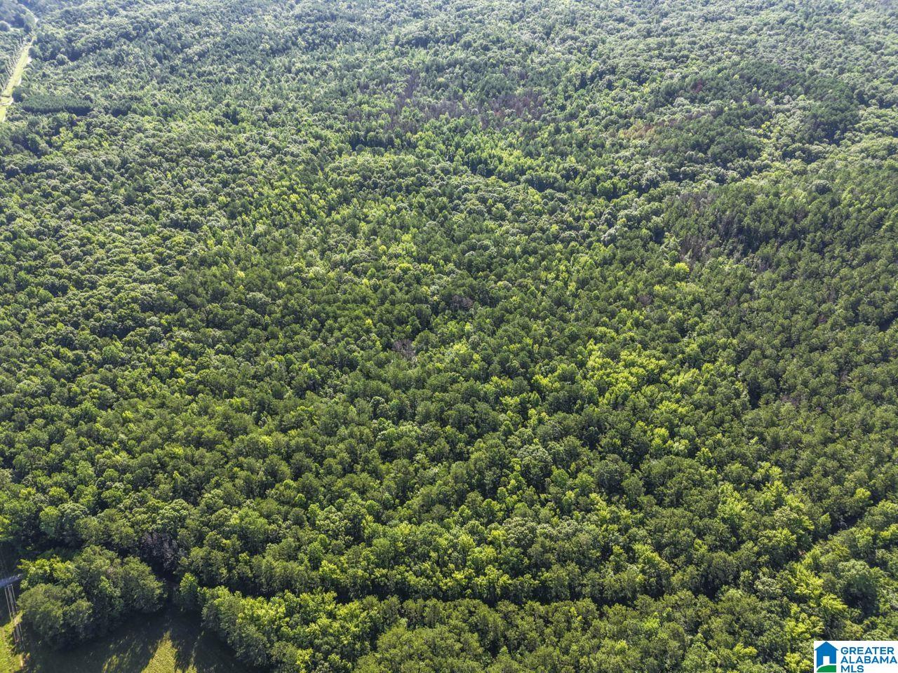 00 BERNEY STATION ROAD 0