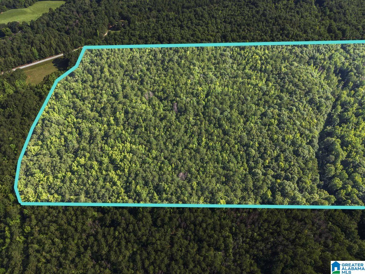 00 BERNEY STATION ROAD 0