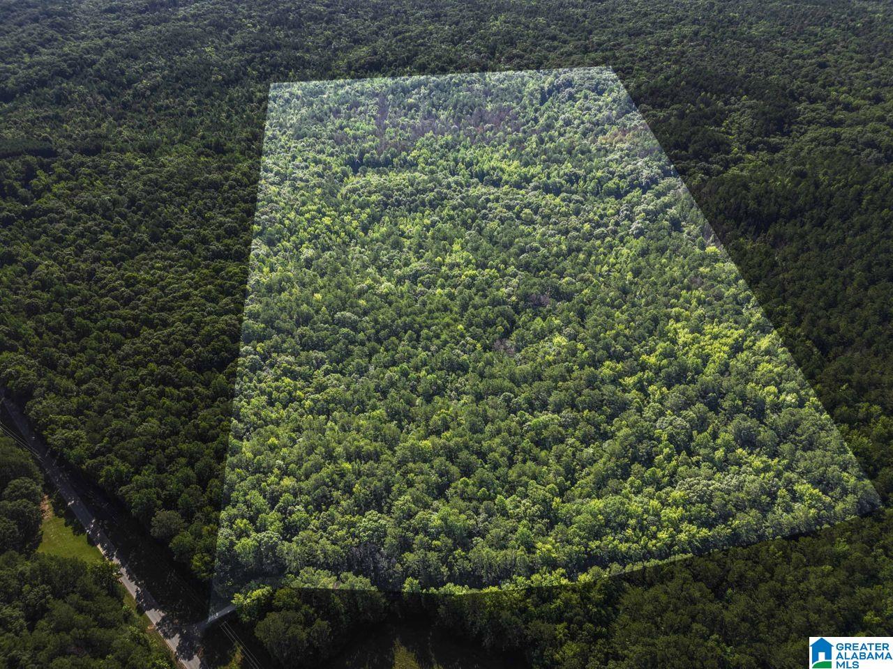 00 BERNEY STATION ROAD 0