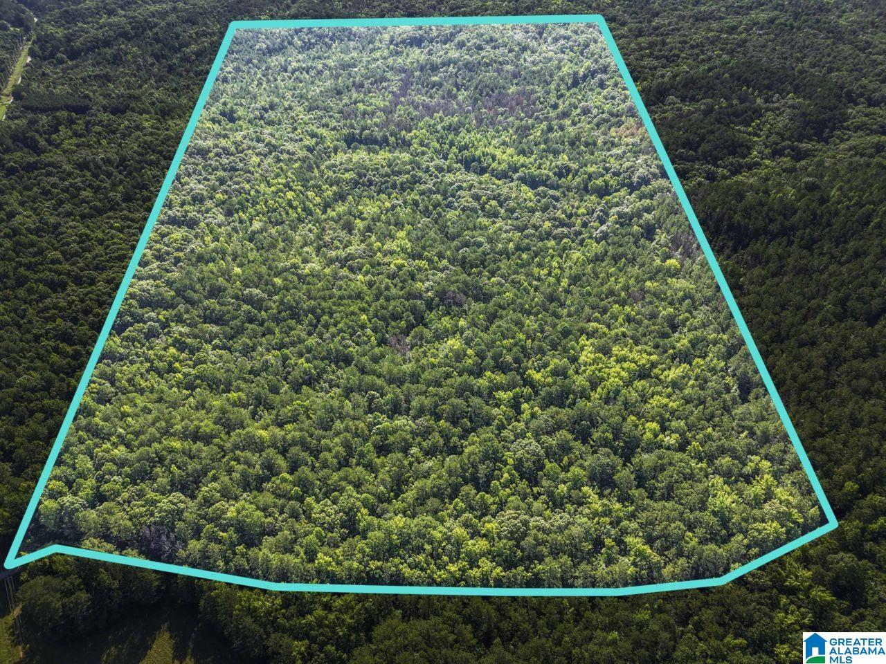 00 BERNEY STATION ROAD 0