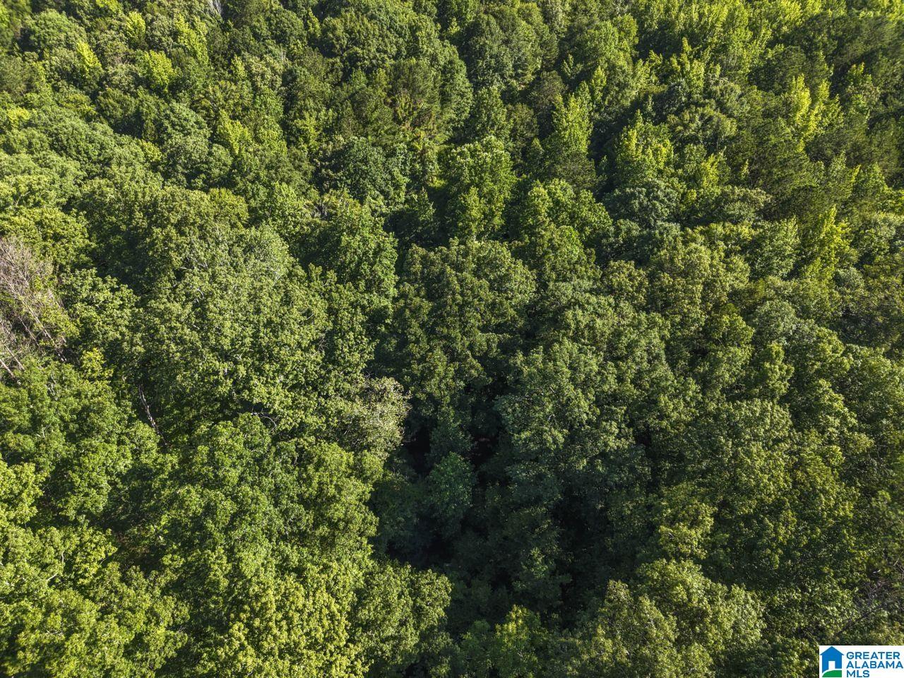 00 BERNEY STATION ROAD 0