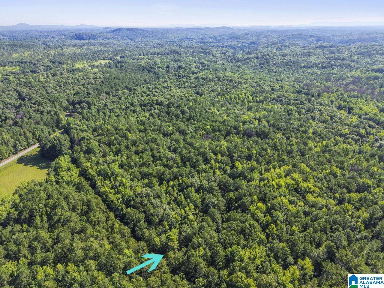 00 BERNEY STATION ROAD 0