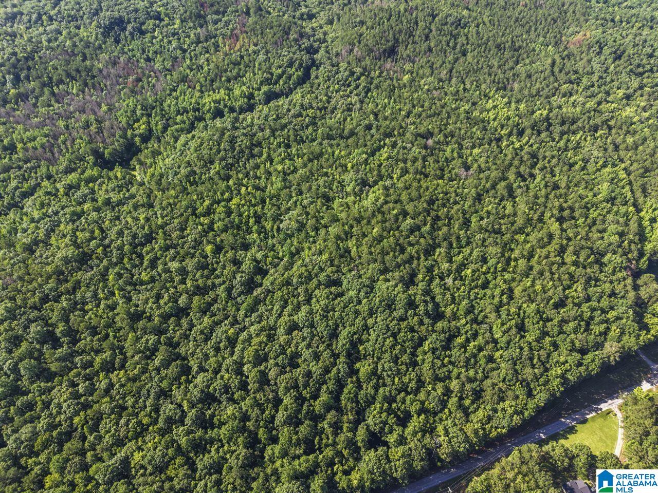 00 BERNEY STATION ROAD 0