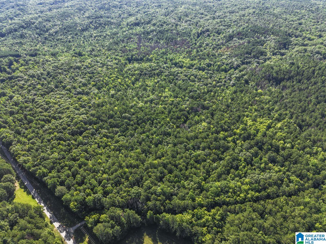 00 BERNEY STATION ROAD 0