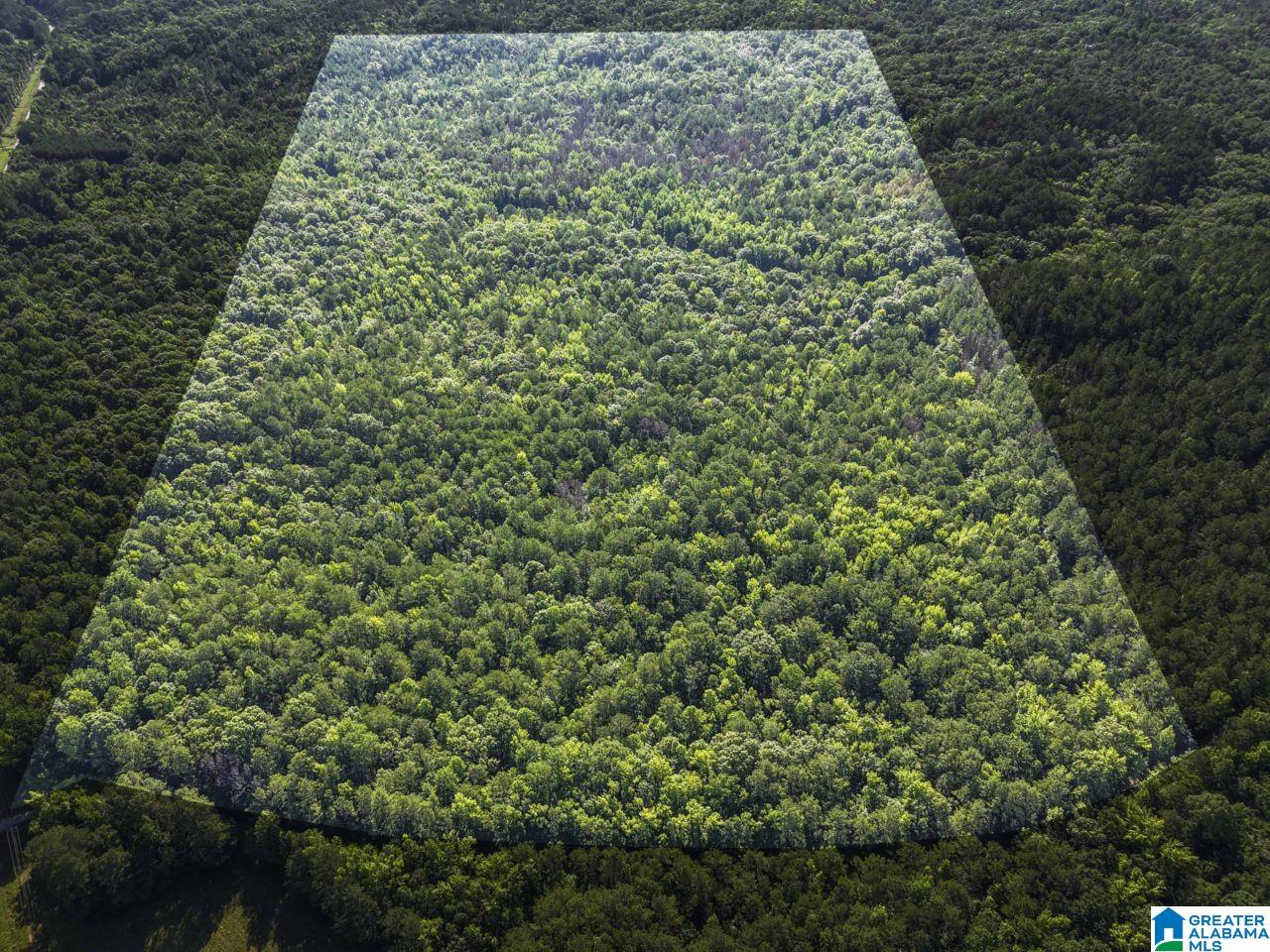 00 BERNEY STATION ROAD 0