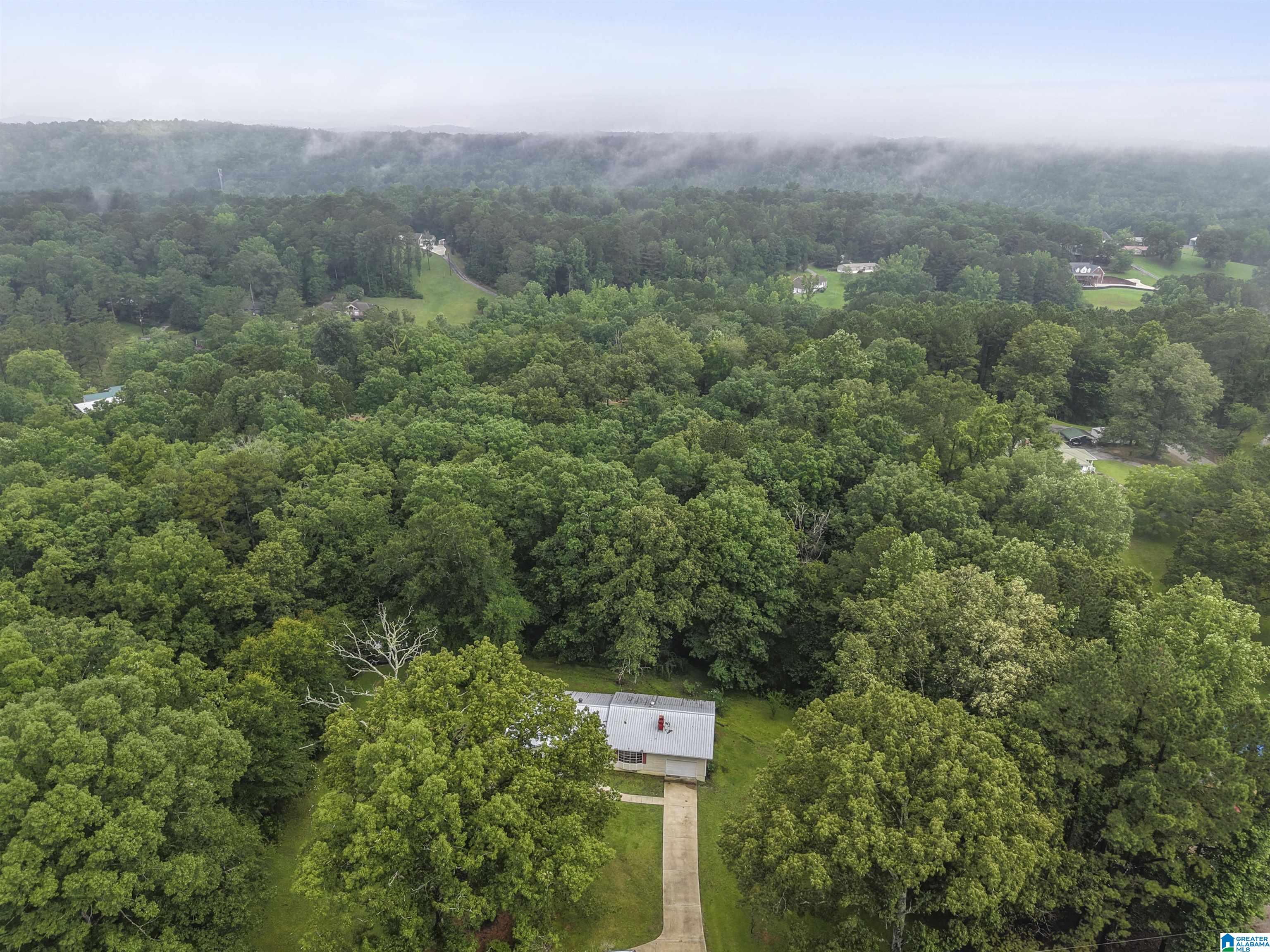 1151 ANNIE LEE ROAD
