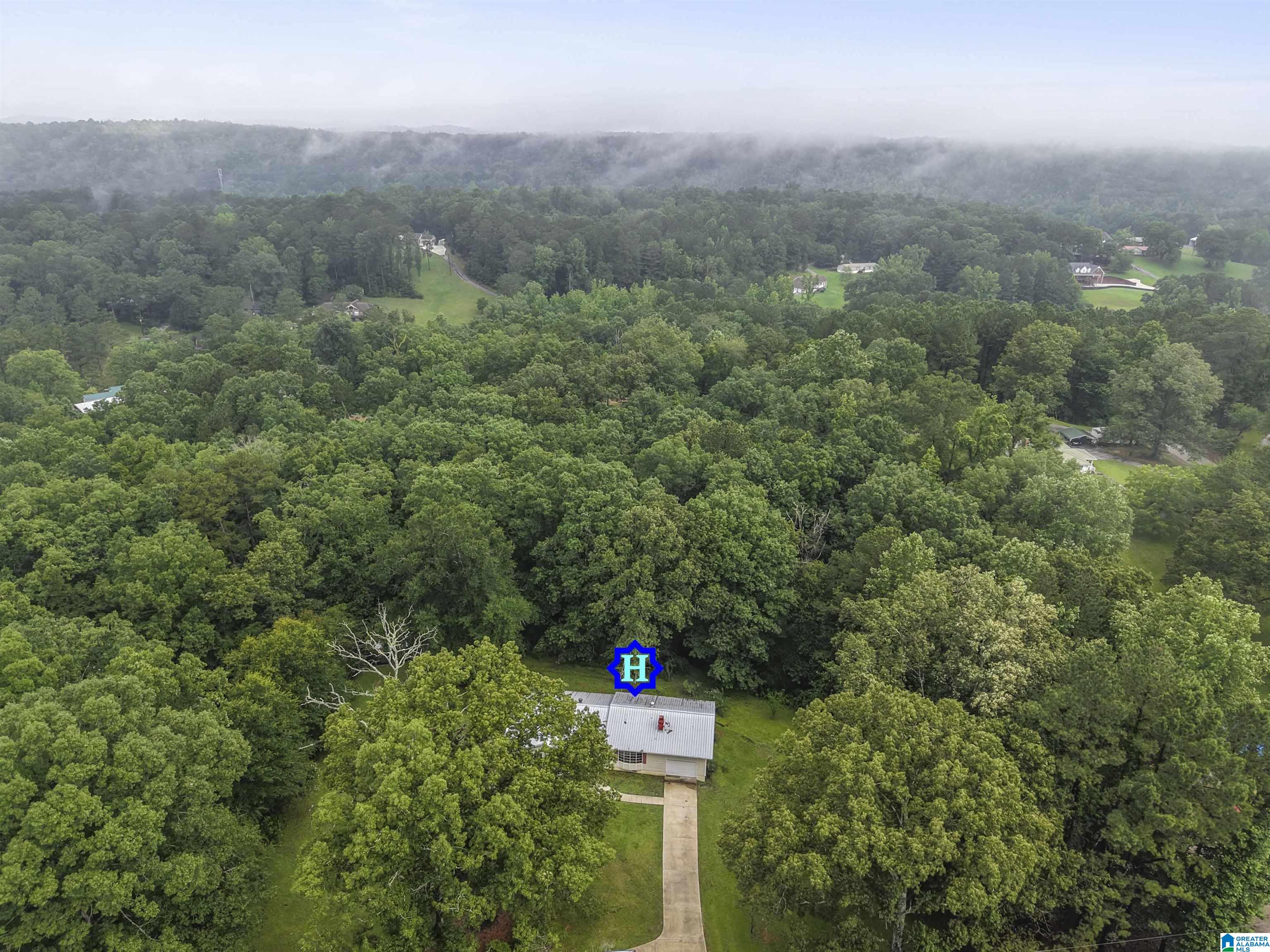1151 ANNIE LEE ROAD