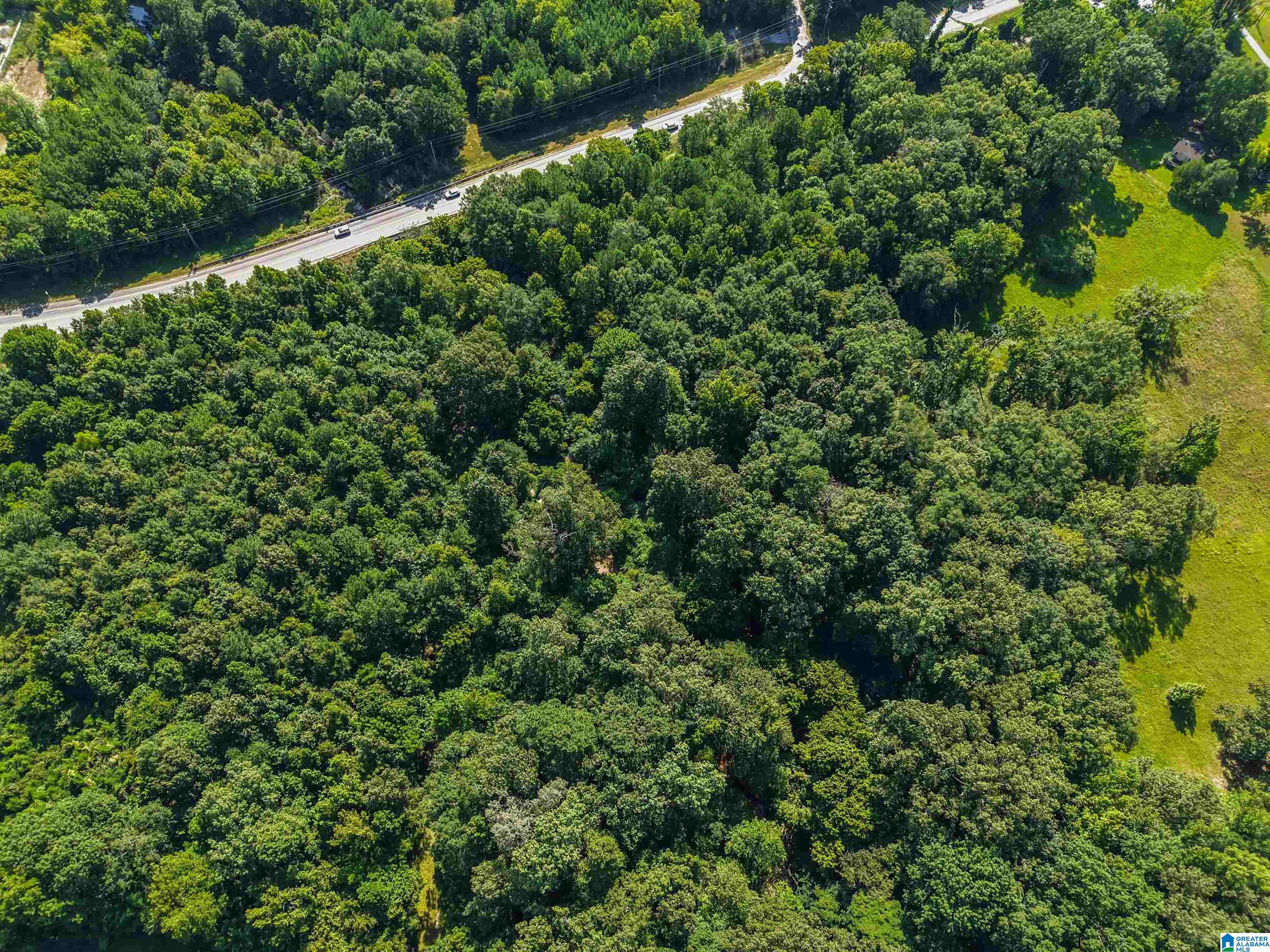000 HIGHWAY 31