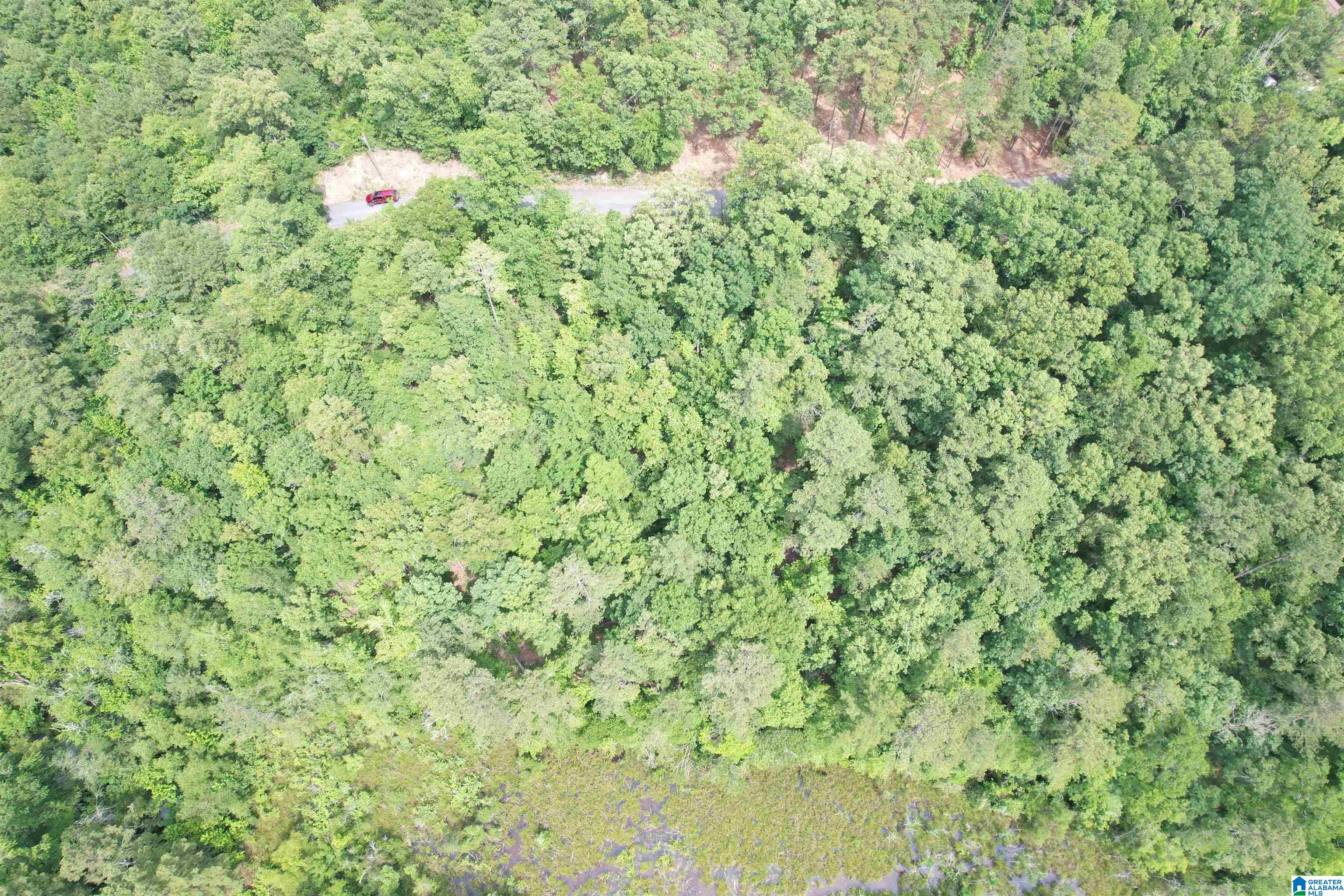 000 HAVEN CIRCLE 10 & 11