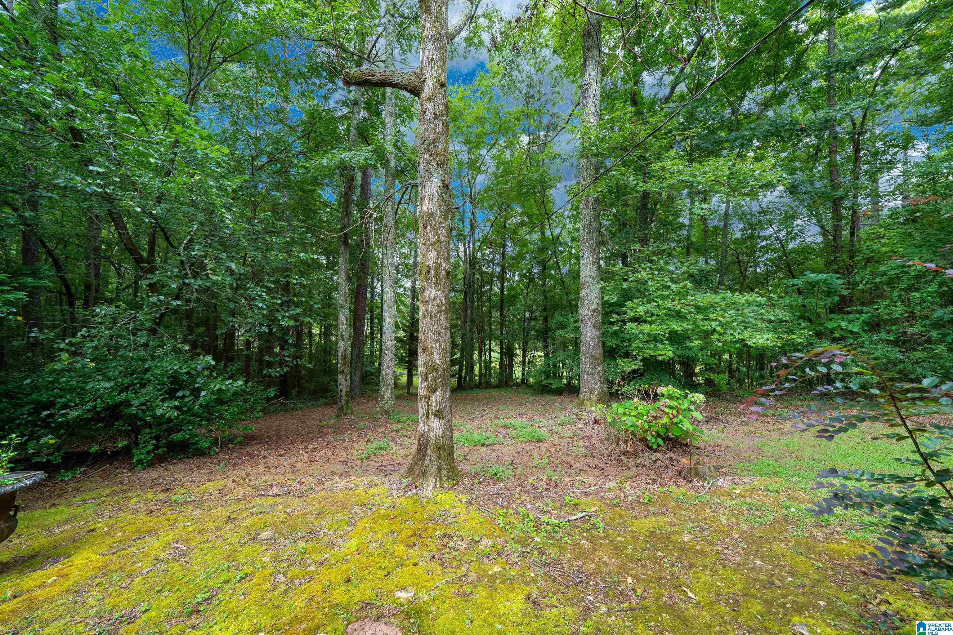 8227 CLAYTON ROAD
