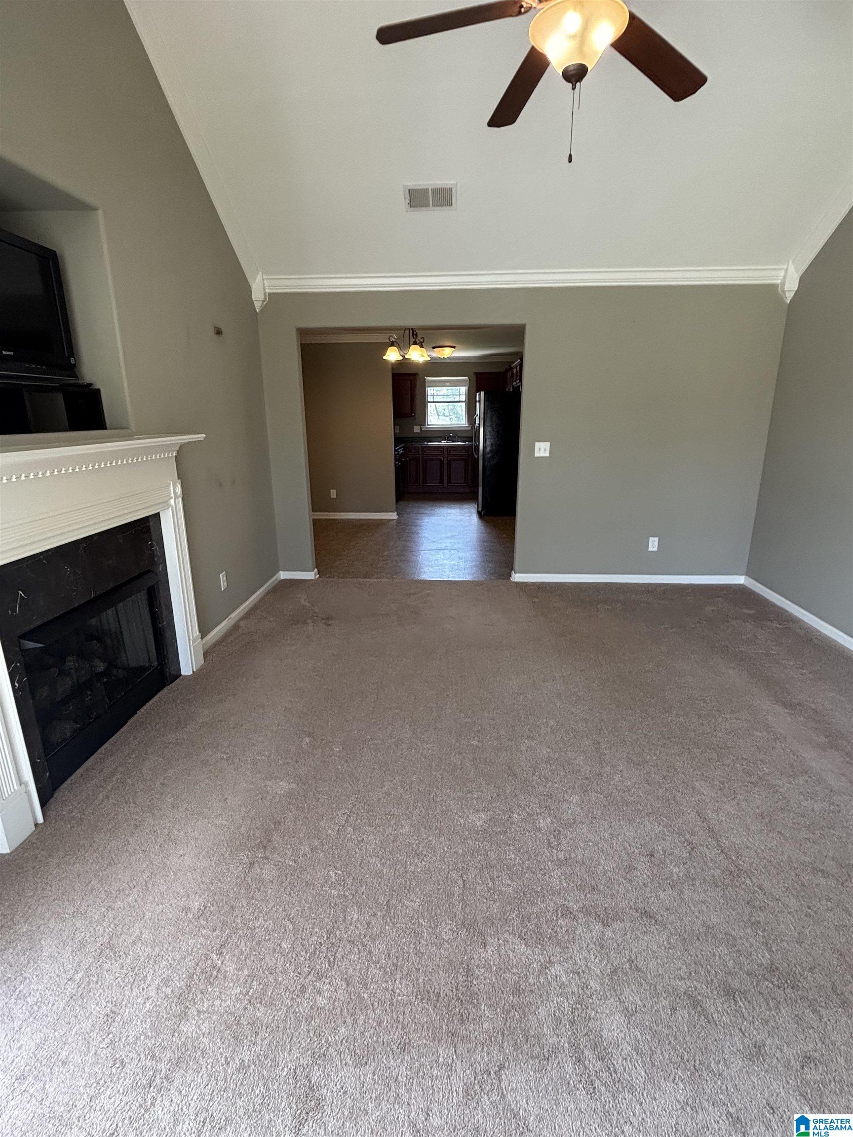 507 VILLAGE SPRINGS LANE