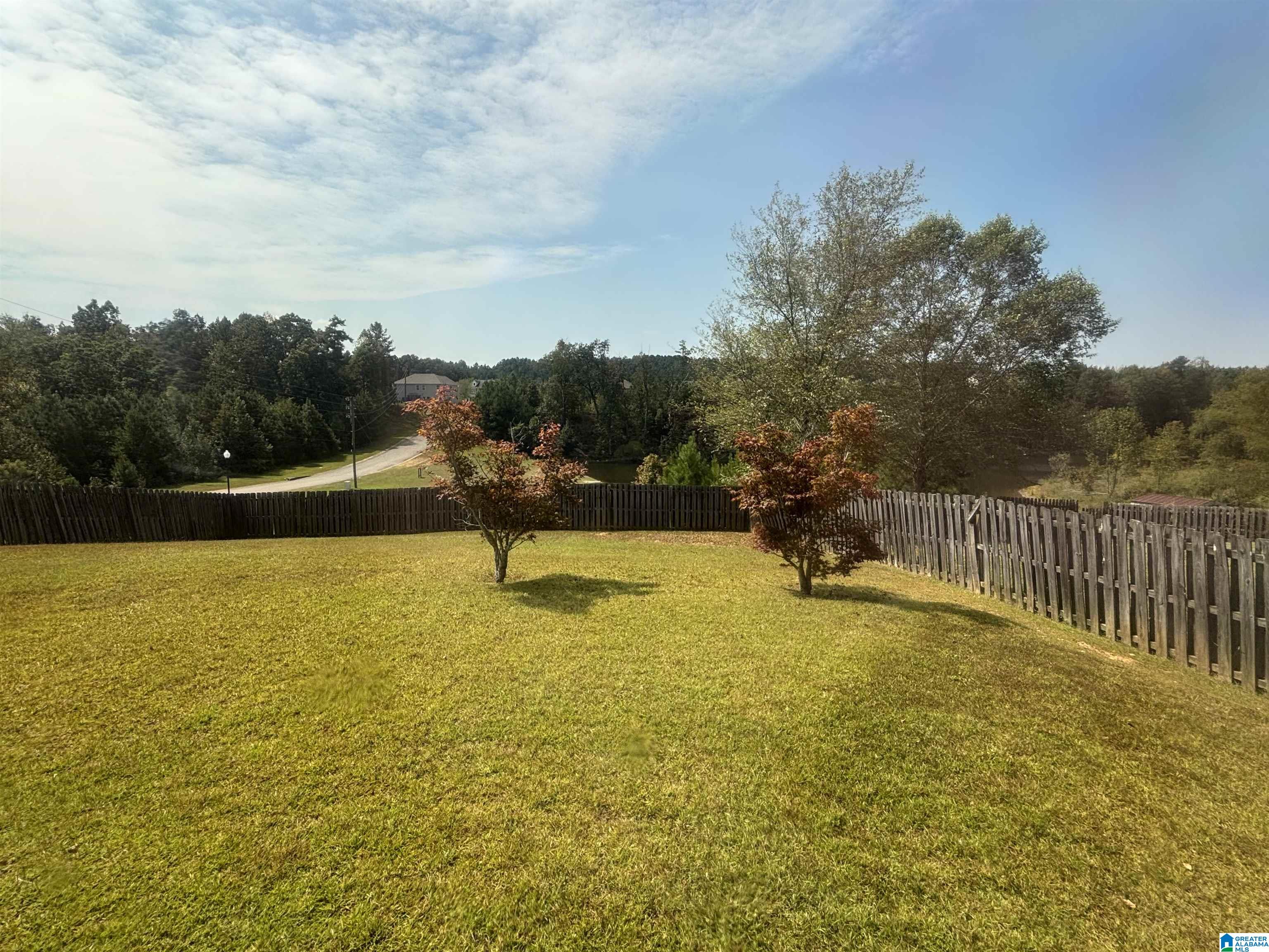 507 VILLAGE SPRINGS LANE