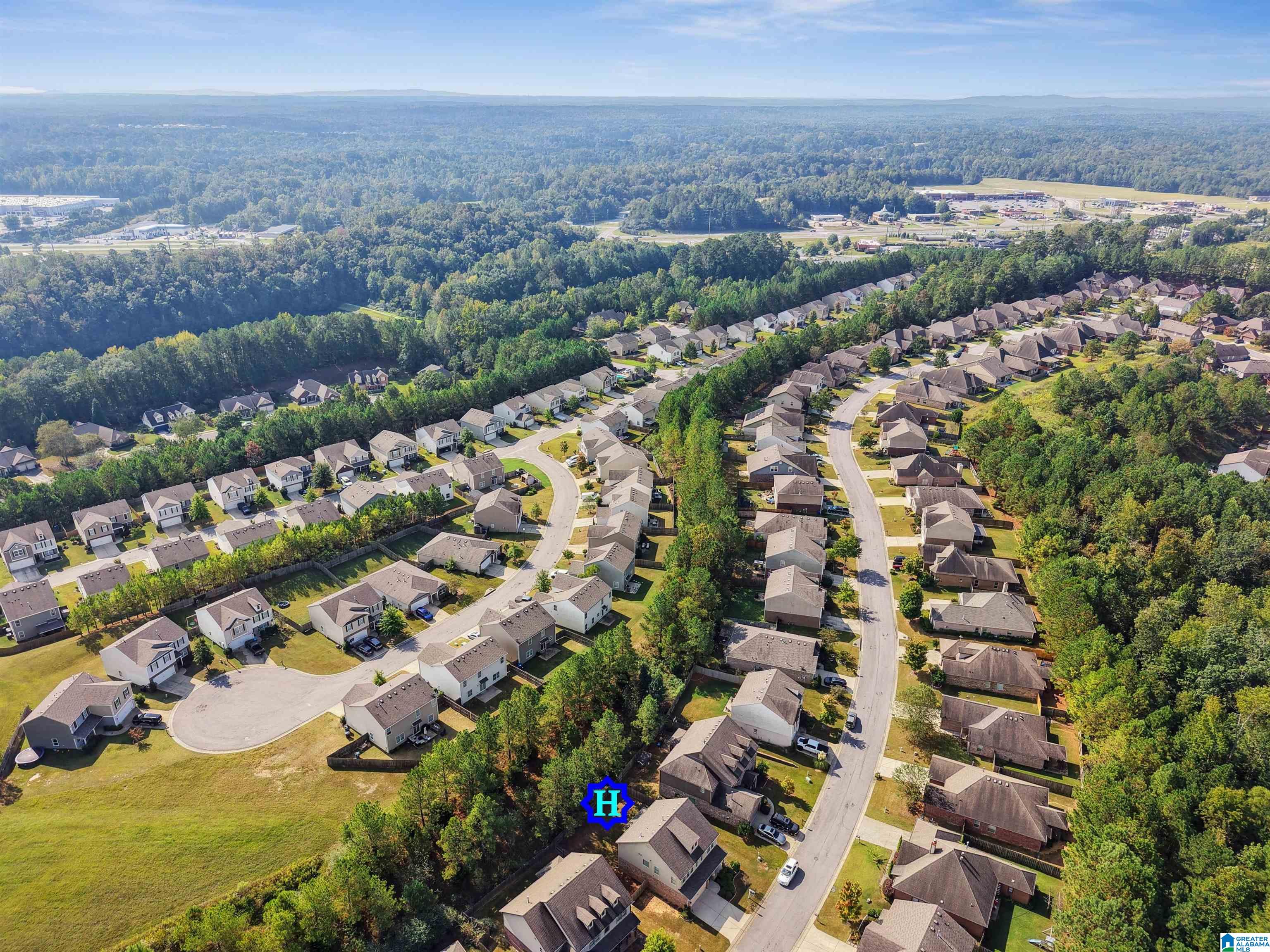 135 CHESSER LOOP ROAD