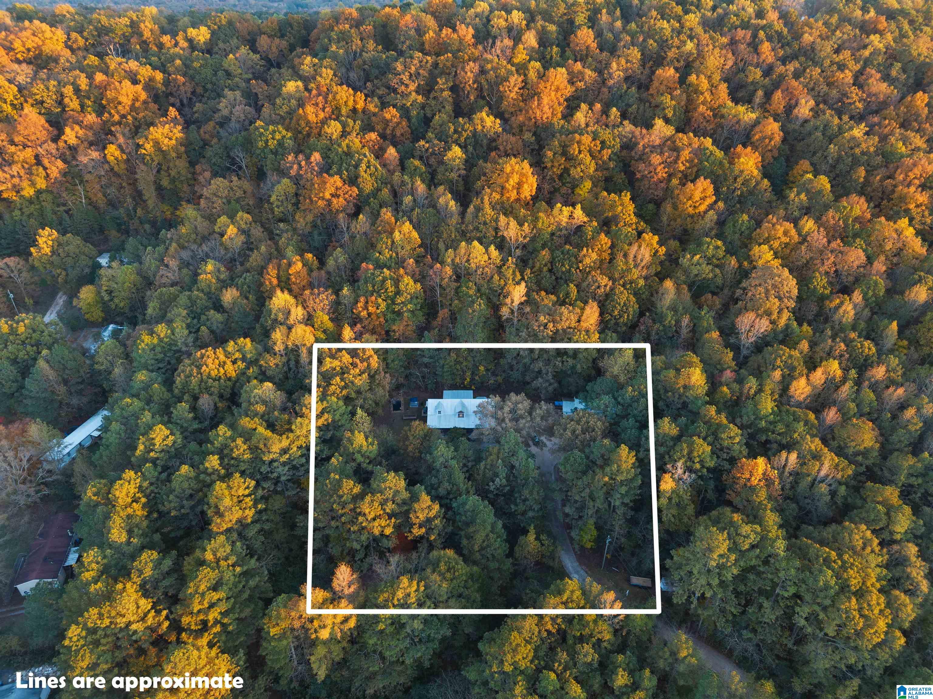 18820 US HIGHWAY 411