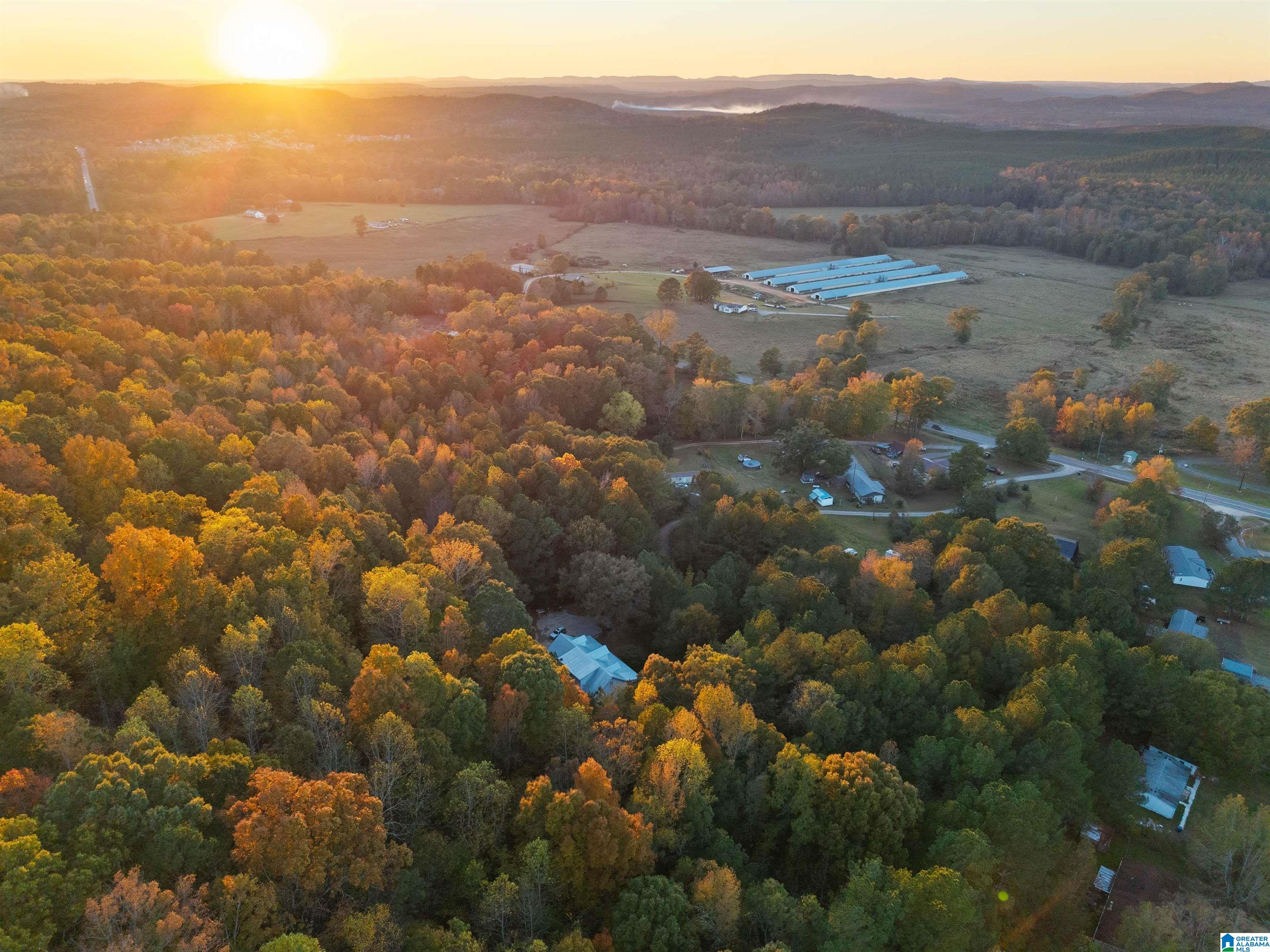 18820 US HIGHWAY 411