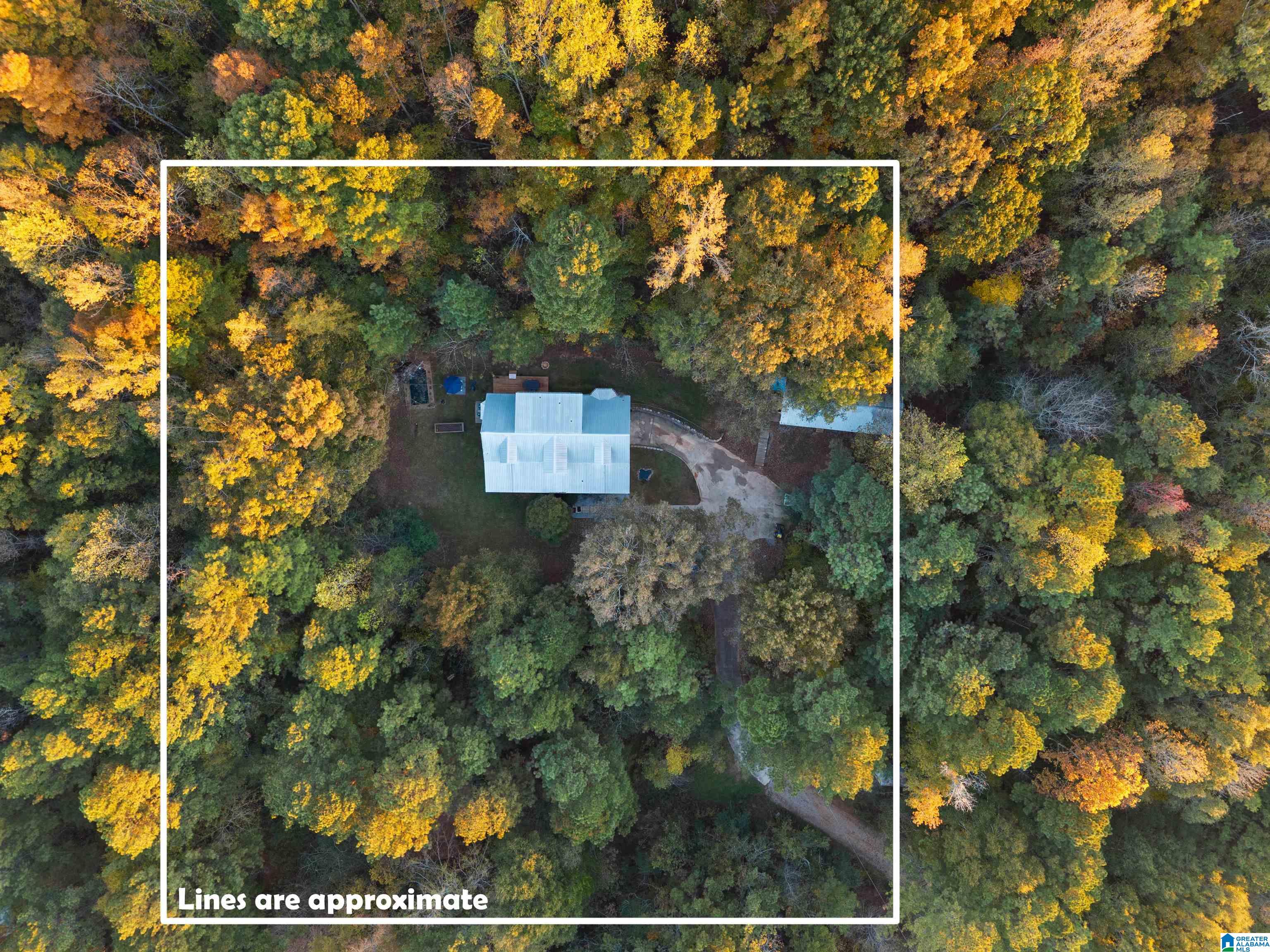 18820 US HIGHWAY 411