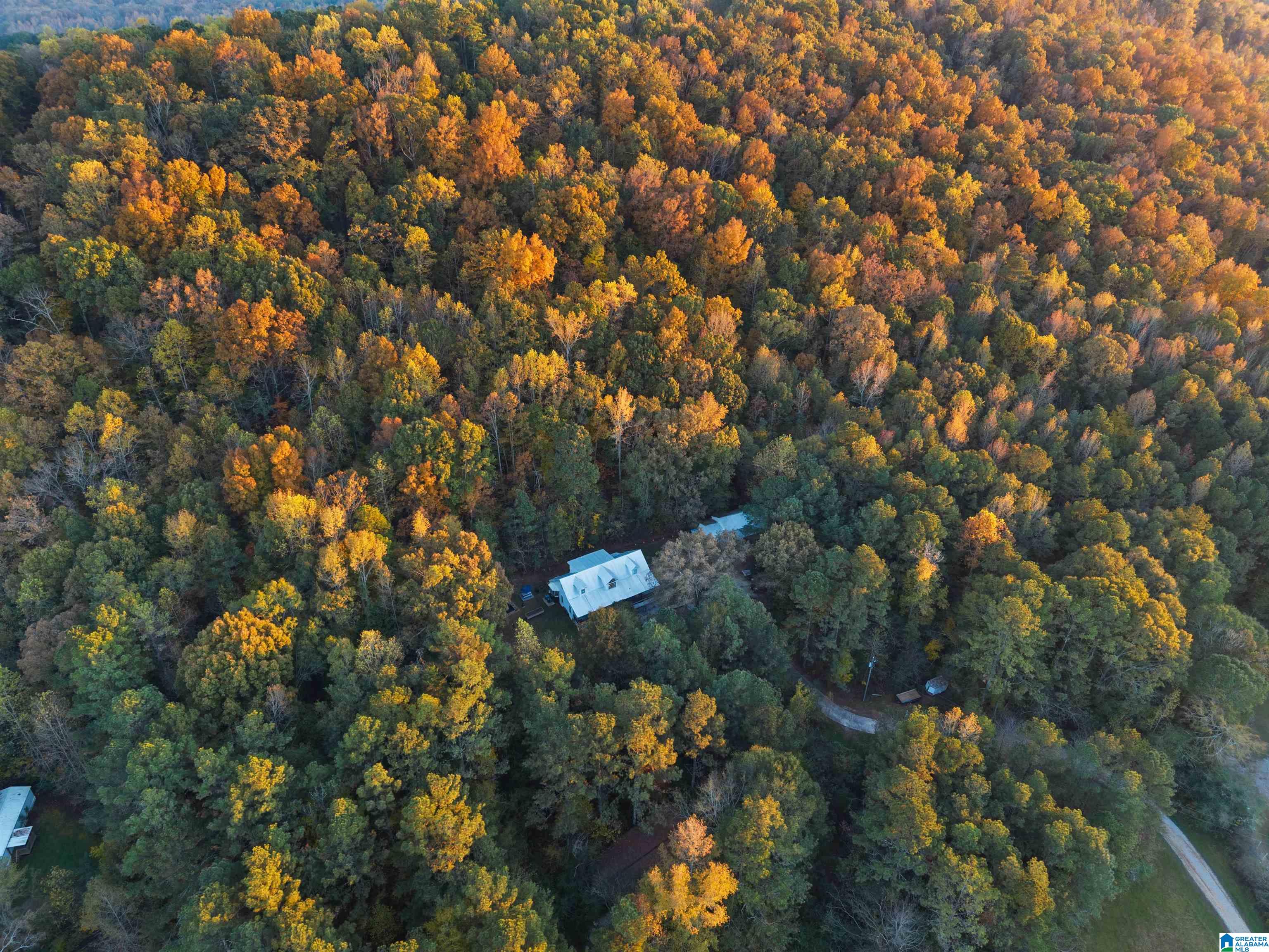 18820 US HIGHWAY 411