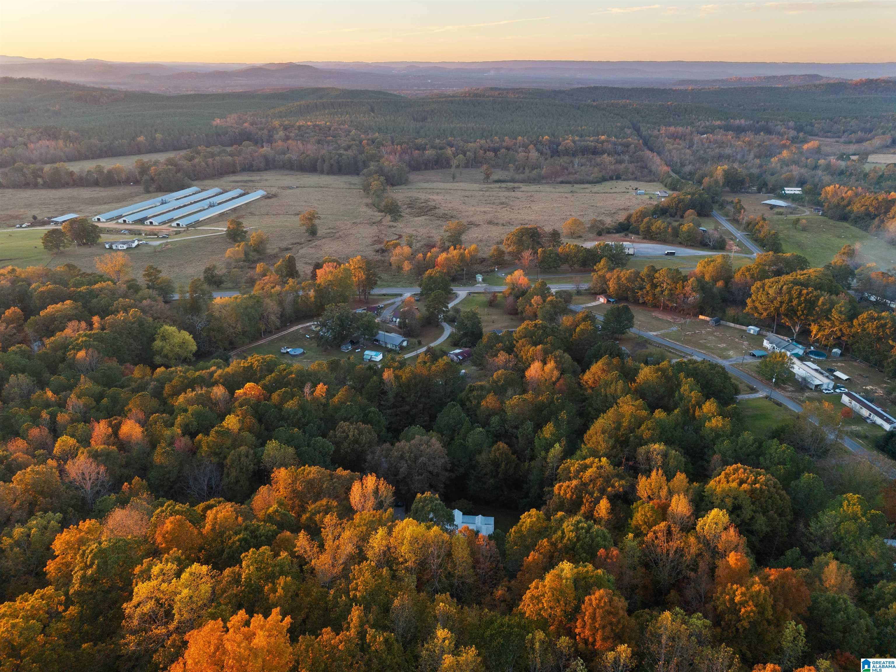 18820 US HIGHWAY 411