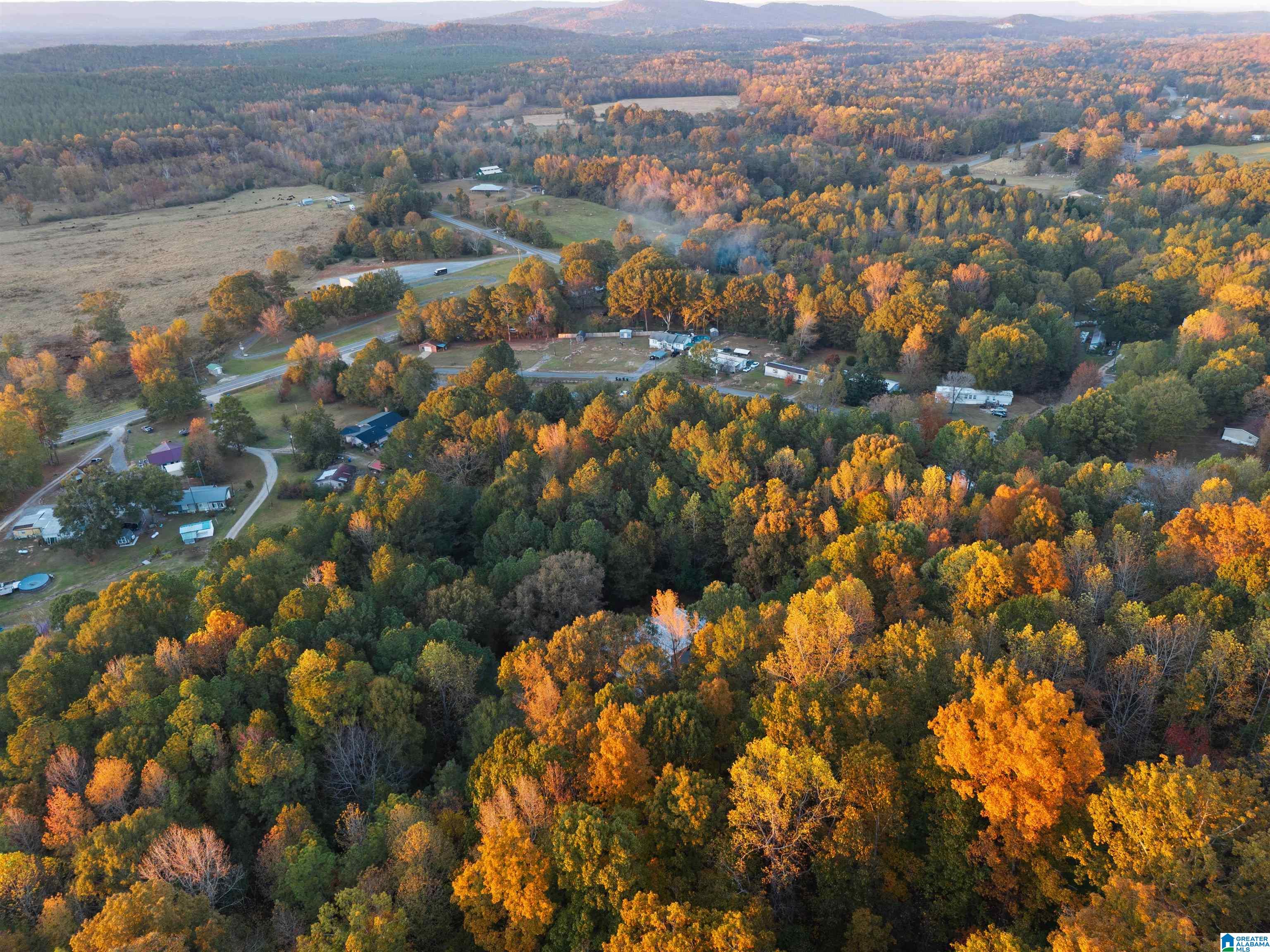 18820 US HIGHWAY 411