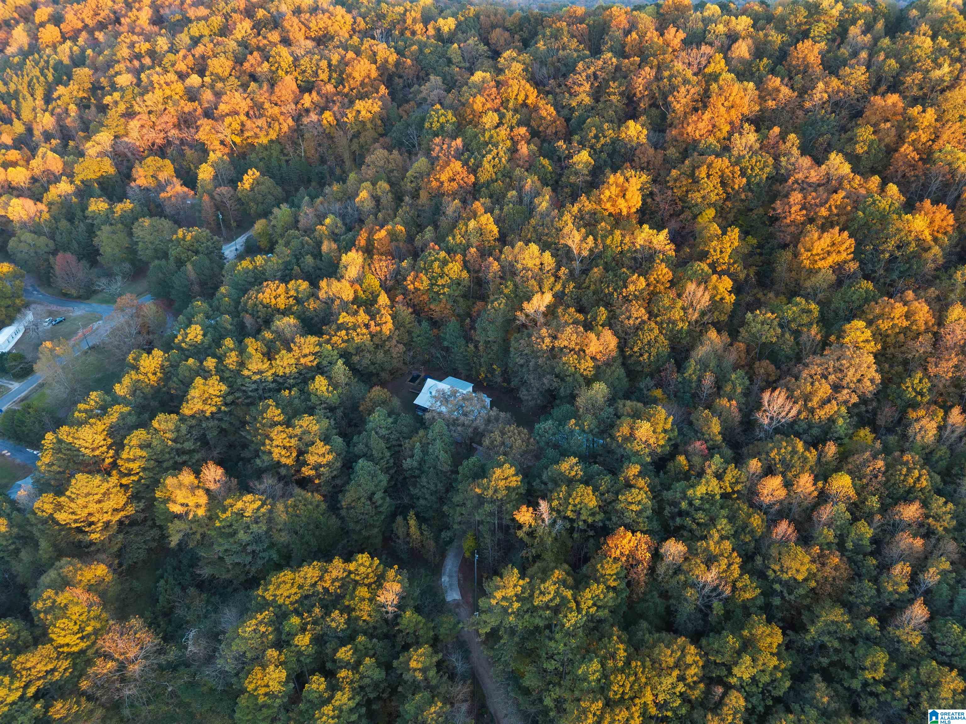 18820 US HIGHWAY 411