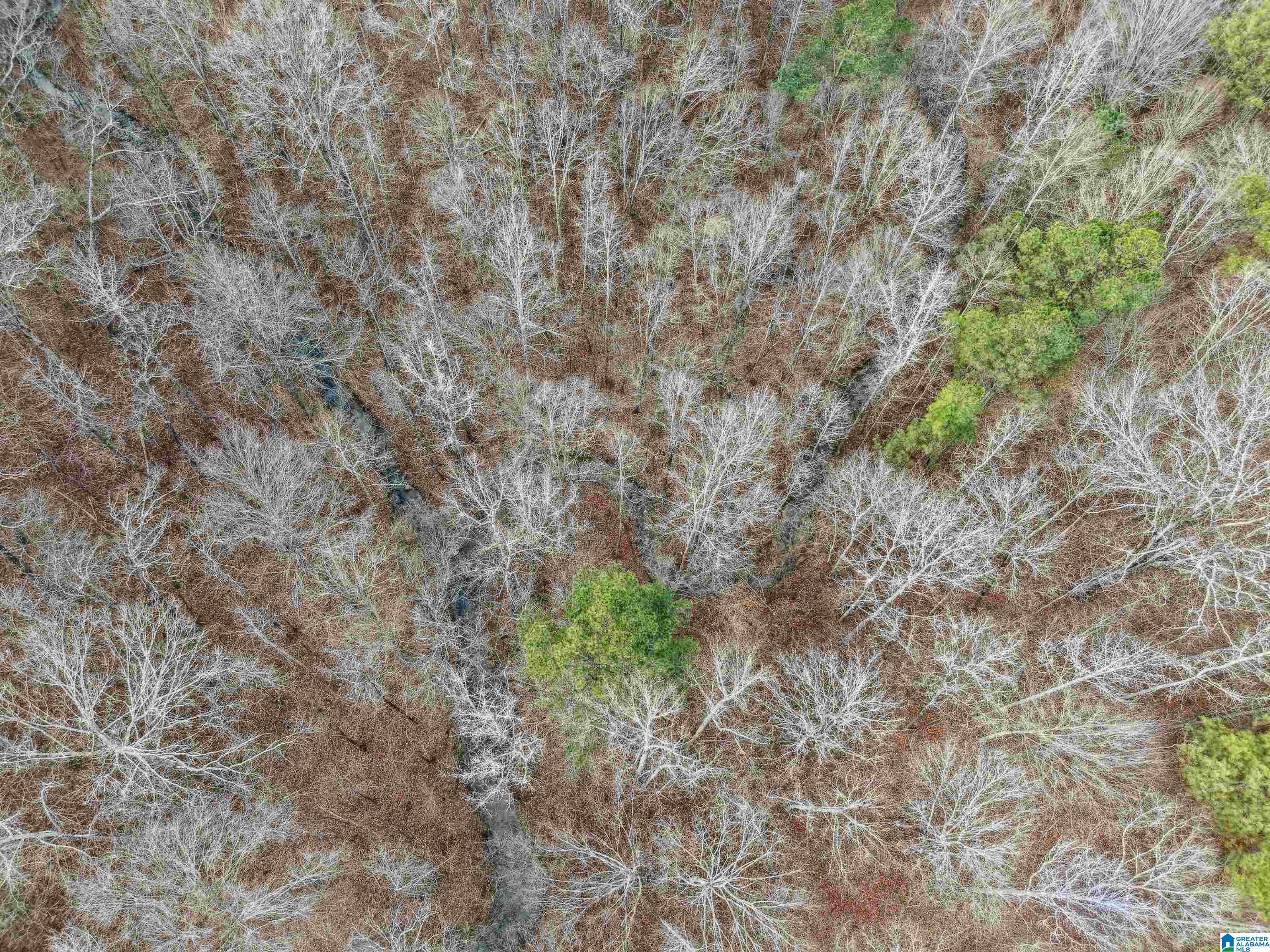 000 HILLVIEW DRIVE Lot 59 and 60