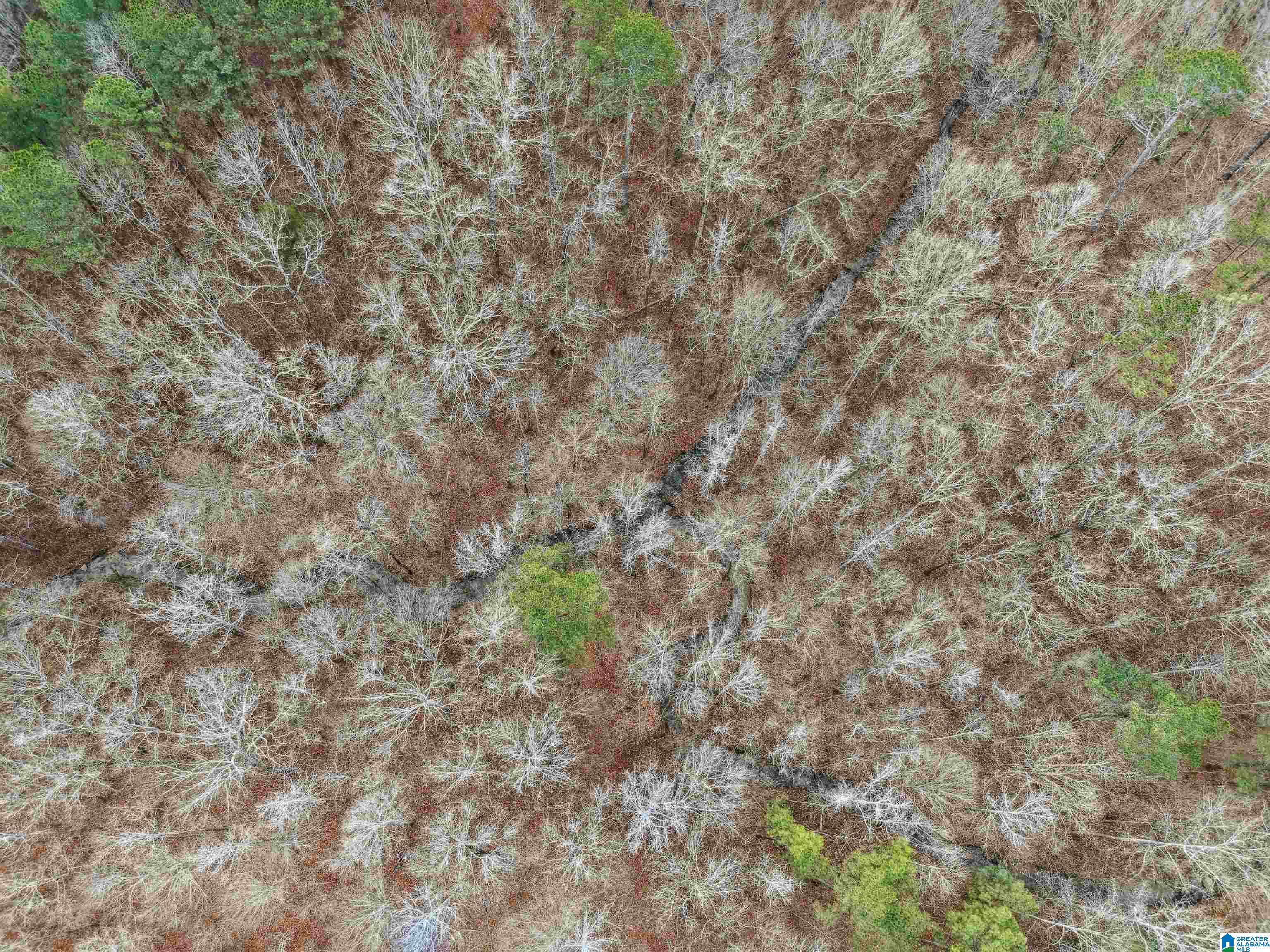 000 HILLVIEW DRIVE Lot 59 and 60