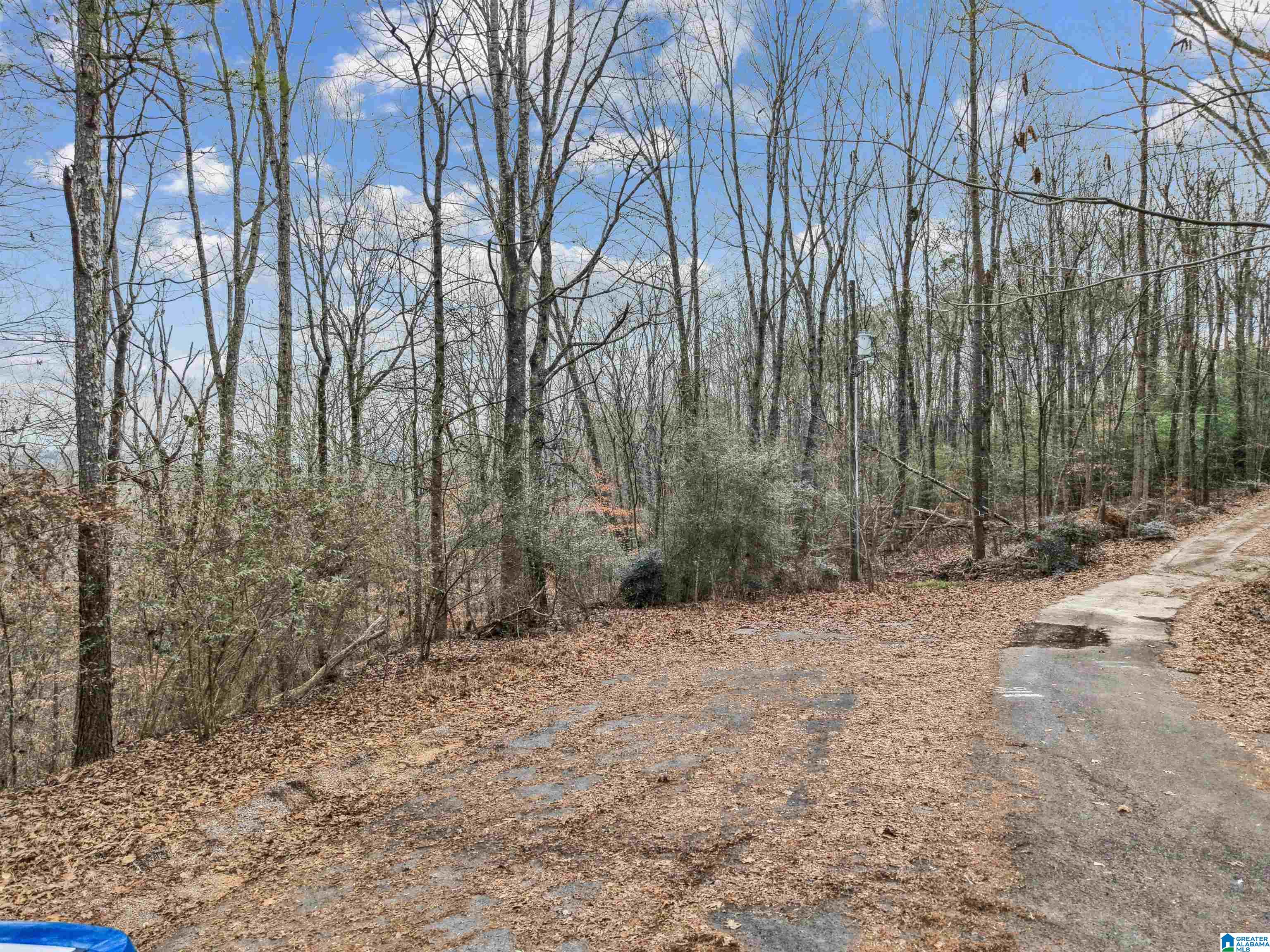 000 HILLVIEW DRIVE Lot 59 and 60