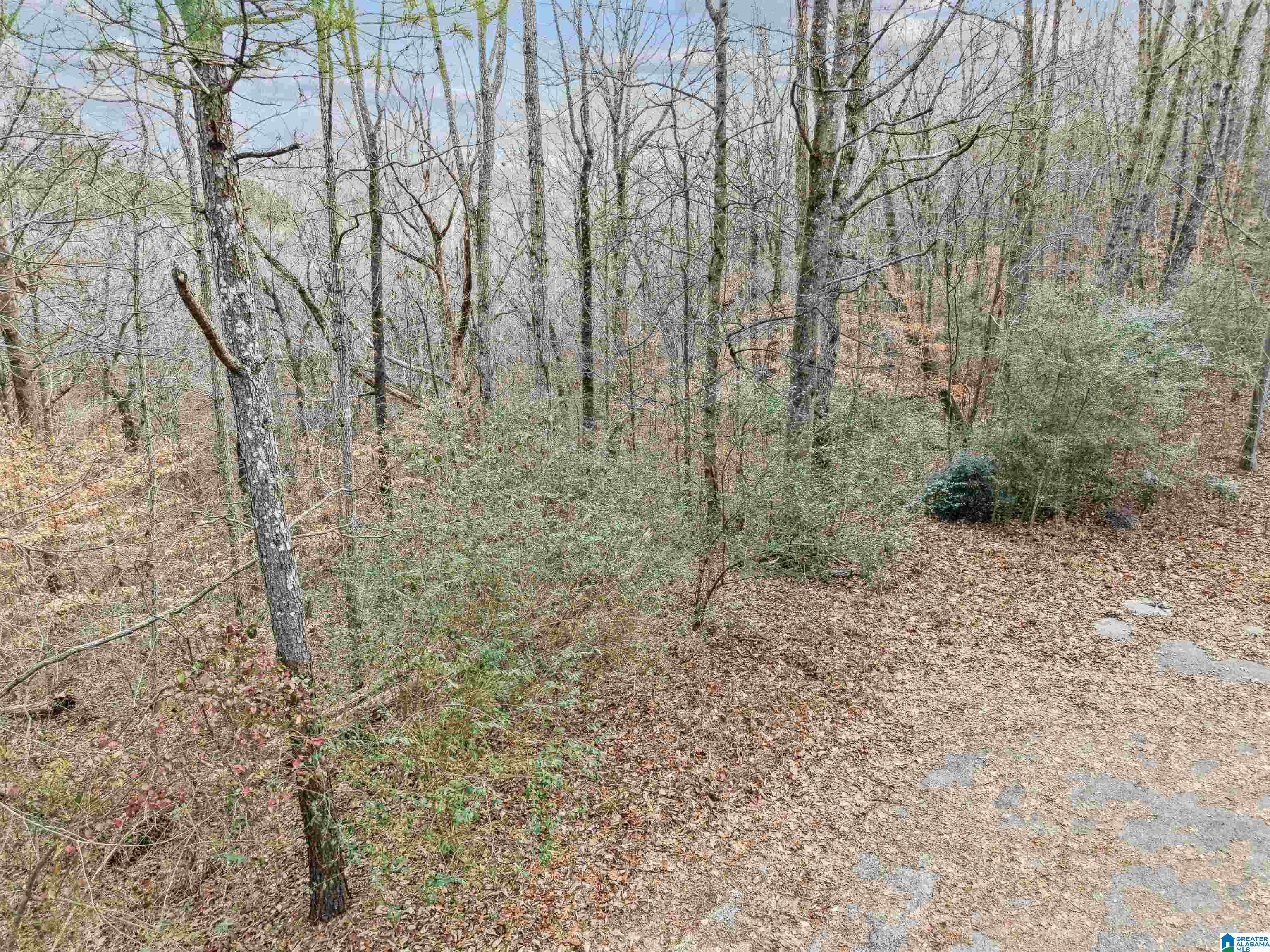 000 HILLVIEW DRIVE Lot 59 and 60