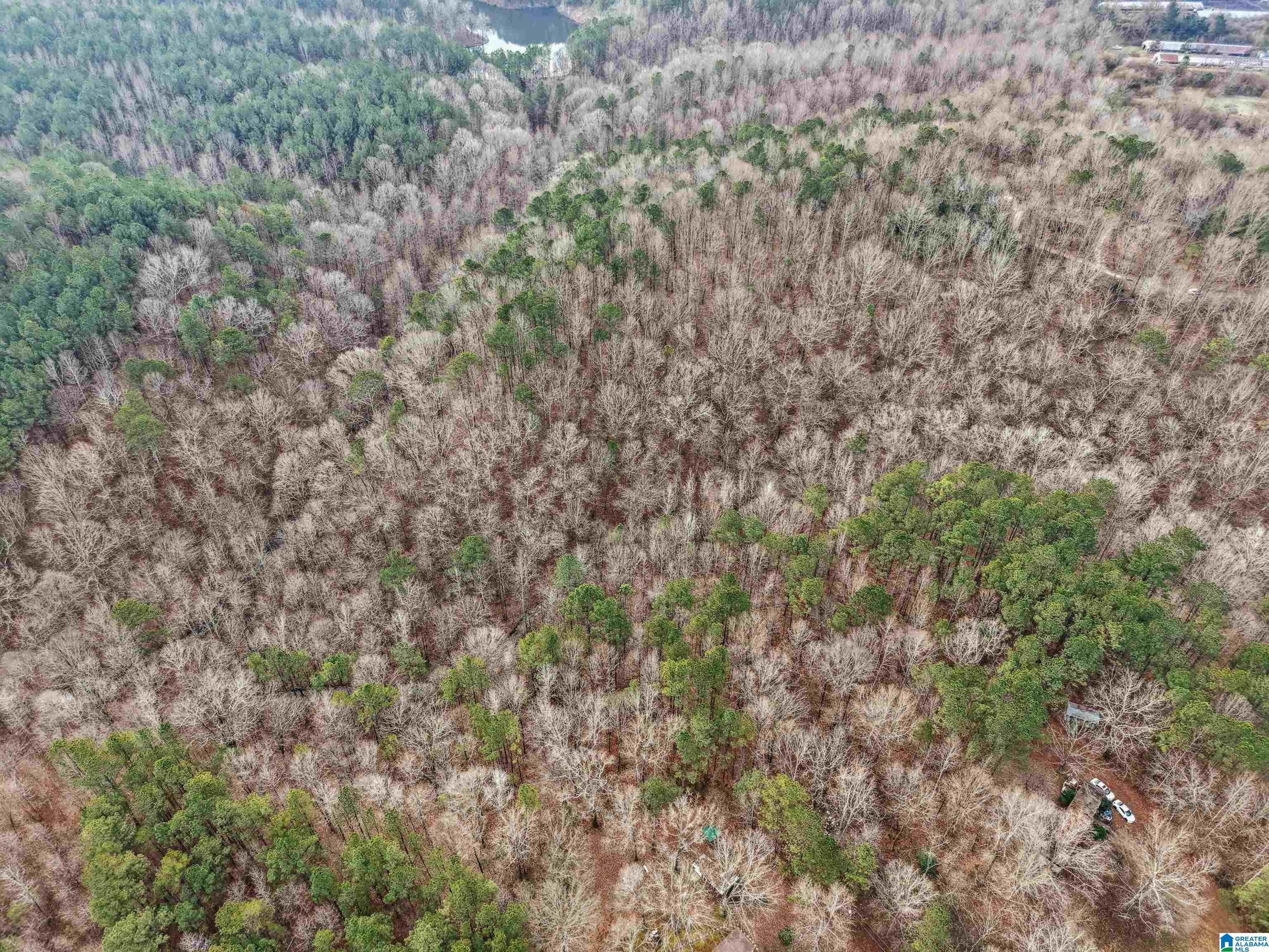 000 HILLVIEW DRIVE Lot 59 and 60