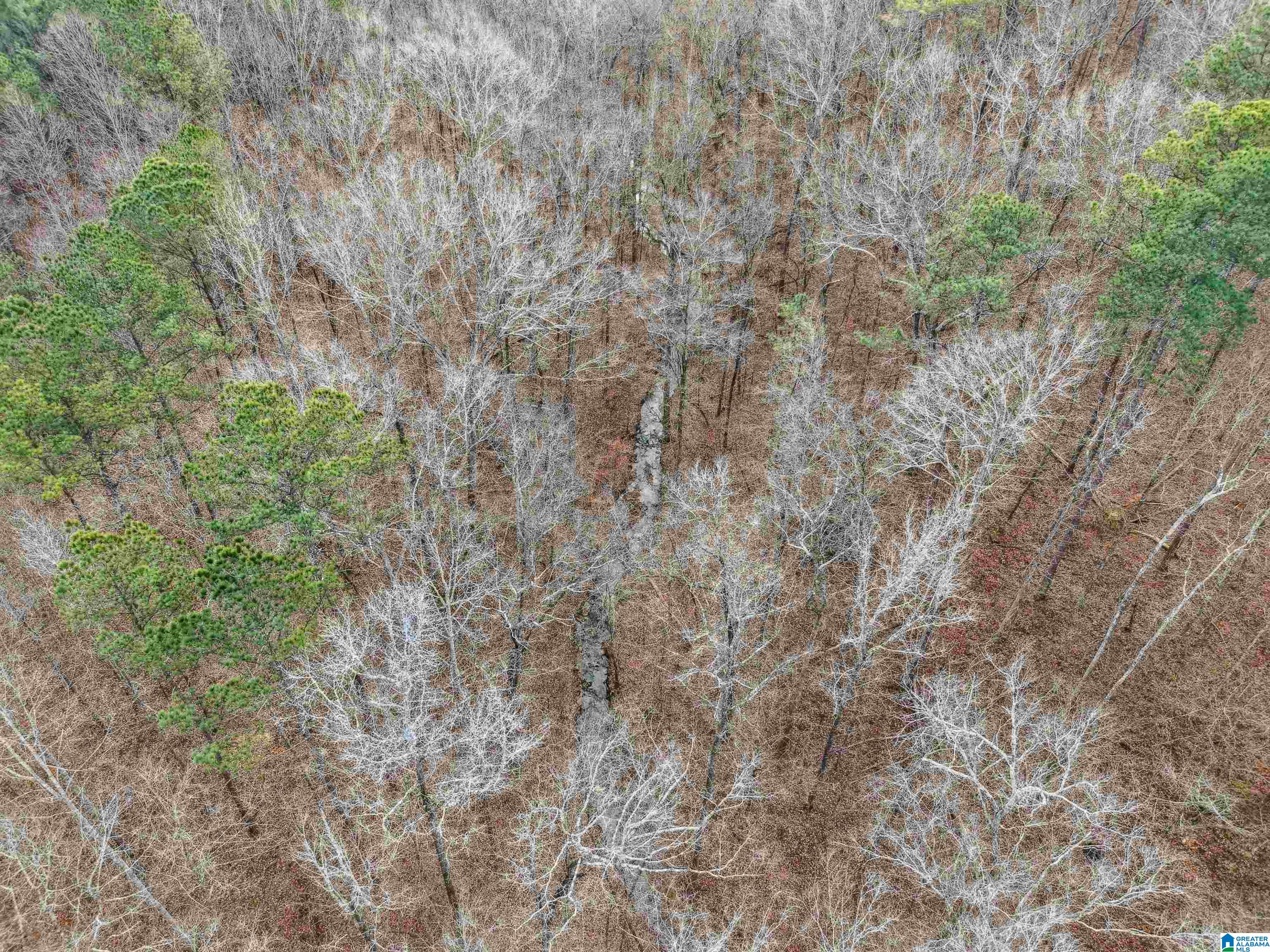 000 HILLVIEW DRIVE Lot 59 and 60