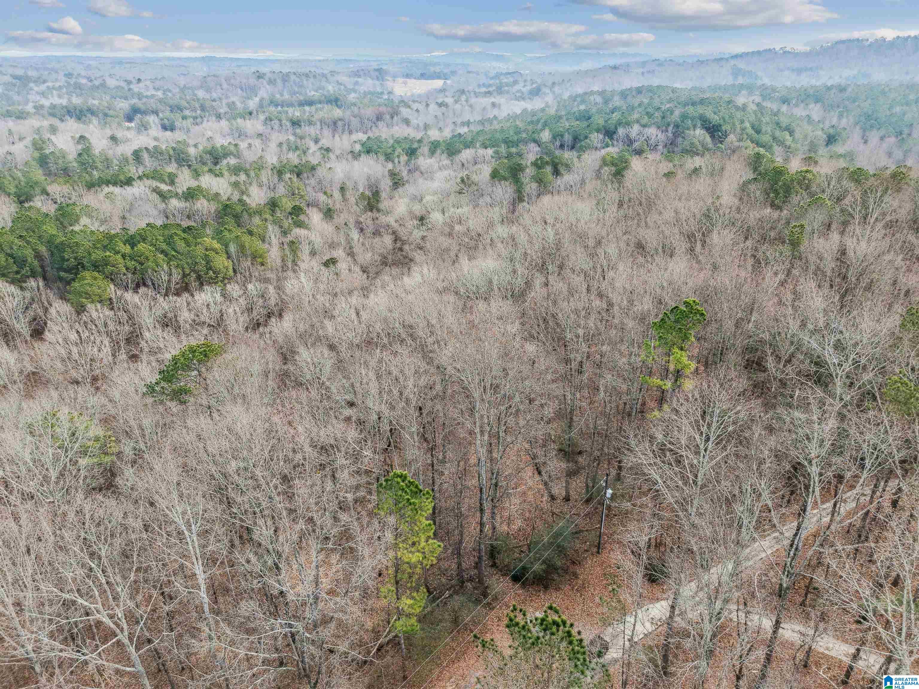 000 HILLVIEW DRIVE Lot 59 and 60