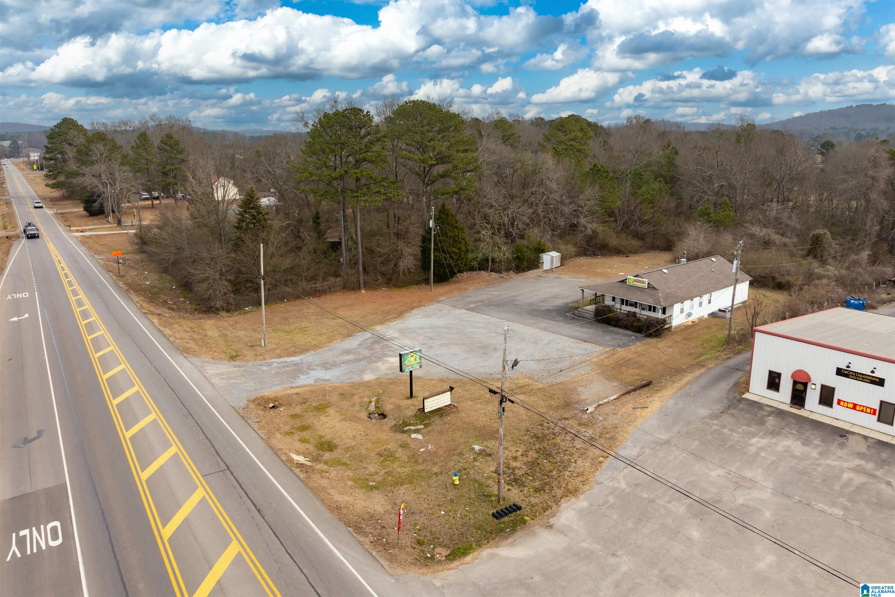 10039 ALABAMA HIGHWAY 174