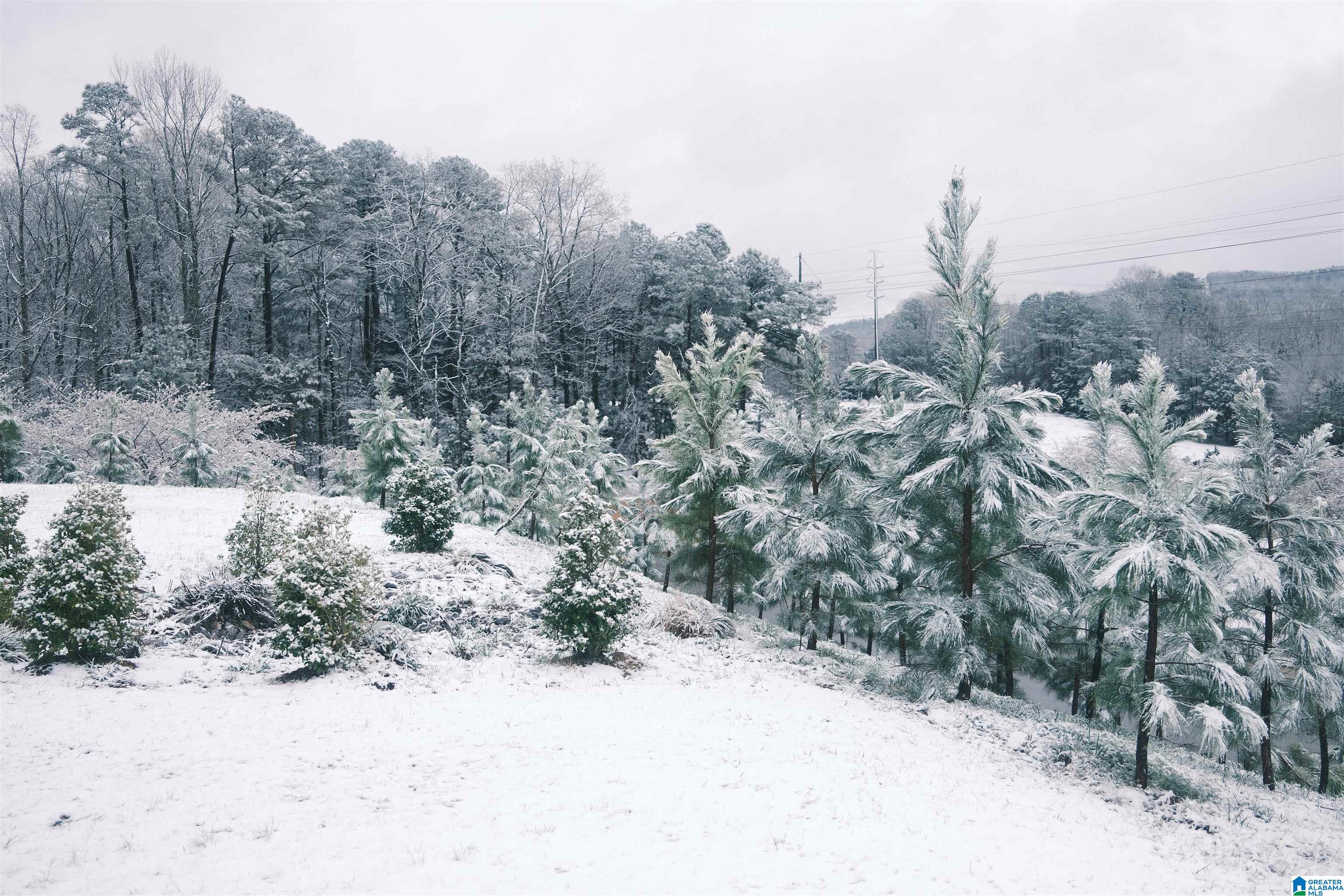 6990 SOUTHERN TRACE LOOP