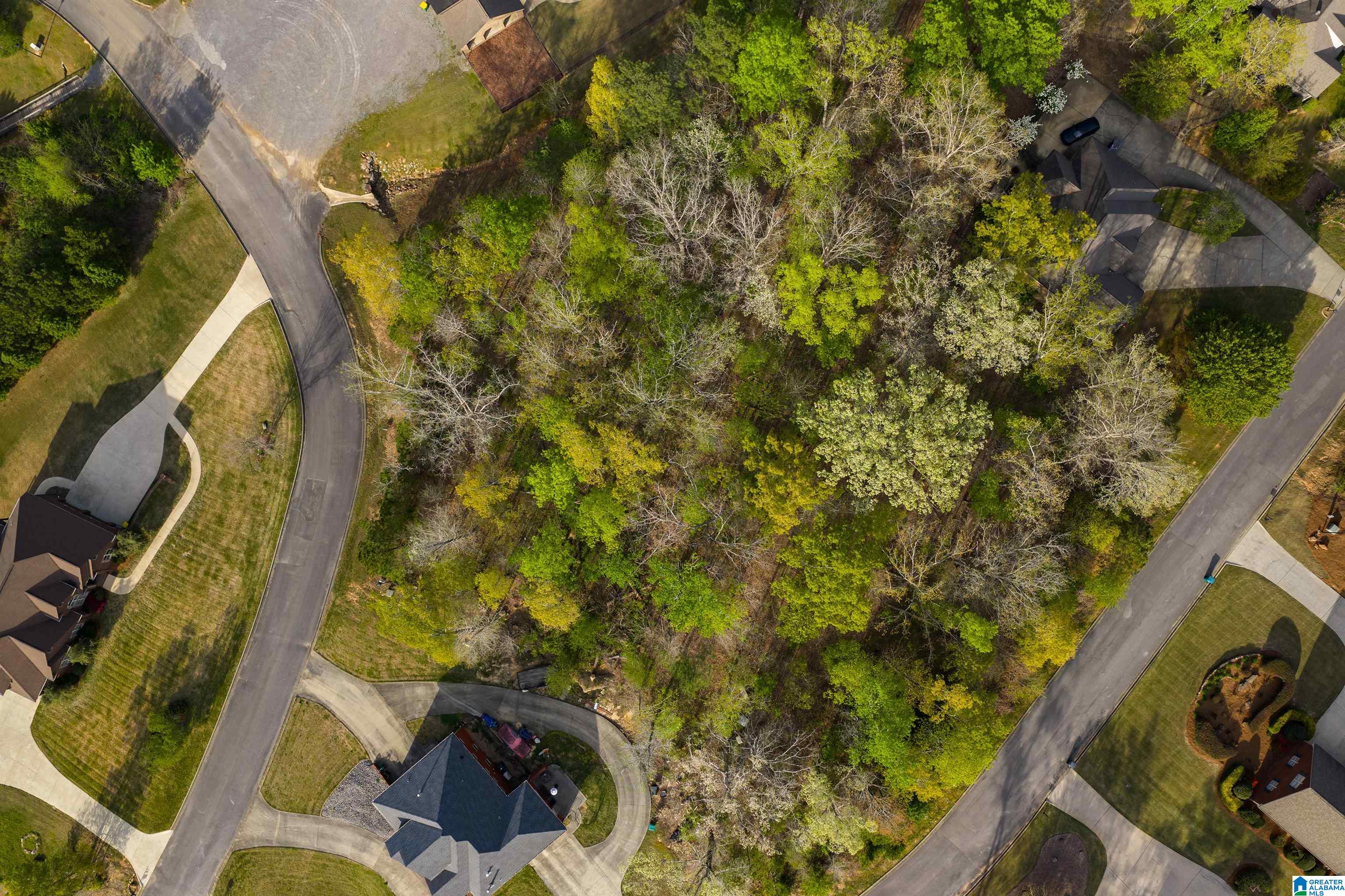 80 PRESERVE WAY 72