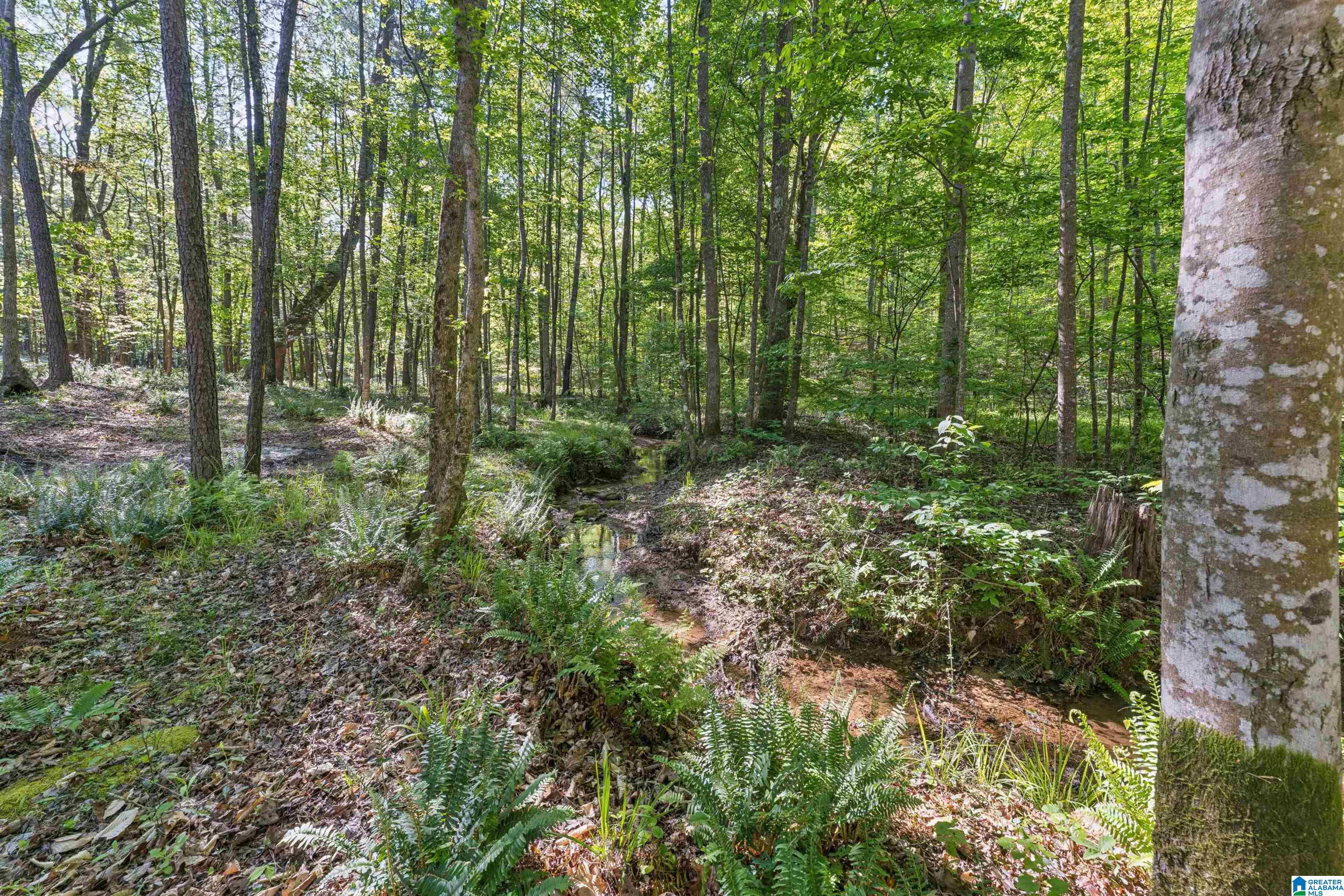 910 TWIN BLUFFS DRIVE