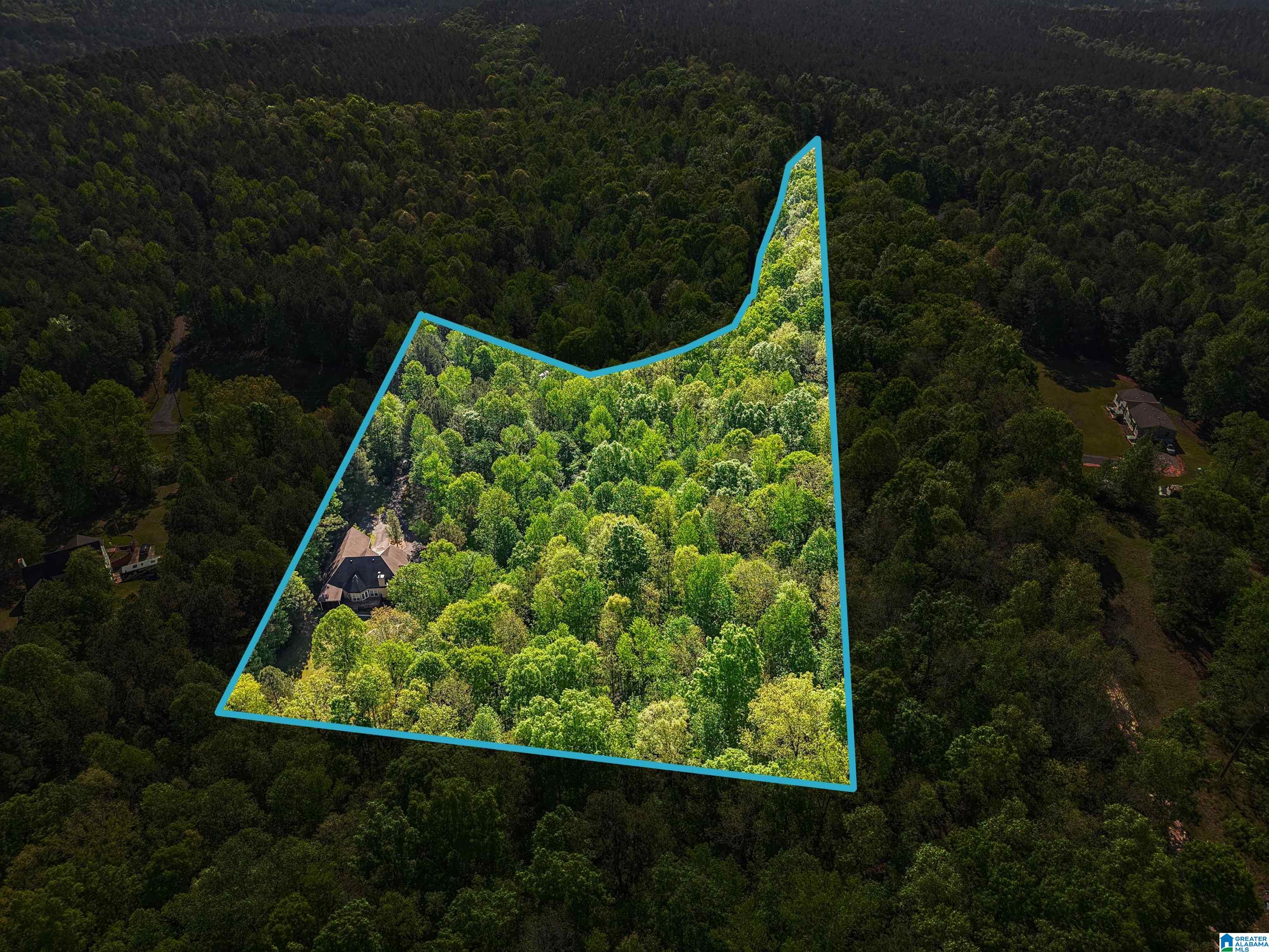 910 TWIN BLUFFS DRIVE